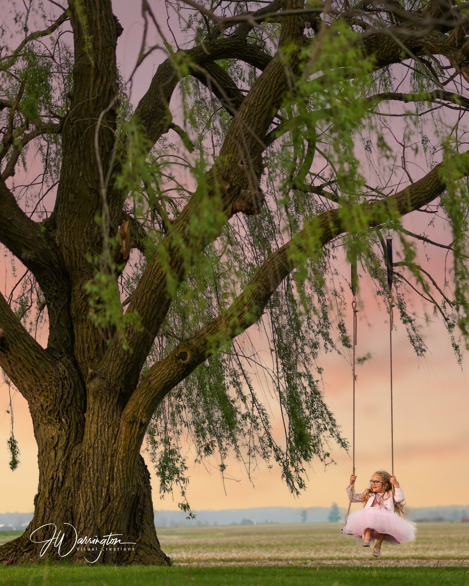Outdoor portrait of a little girl on a swing hanging from a massive weeping willow tree during sunset, captured by northwest ohio photographer 