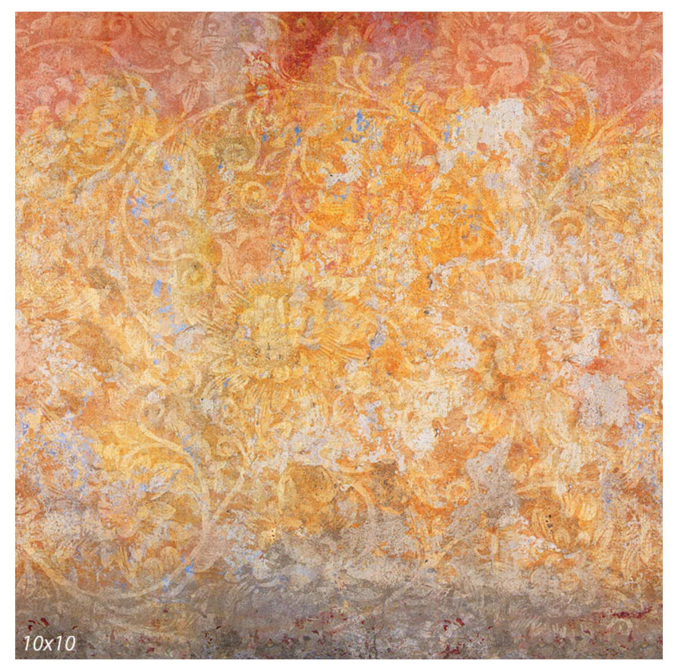 colorful floral lace backdrop option by findlay photographer