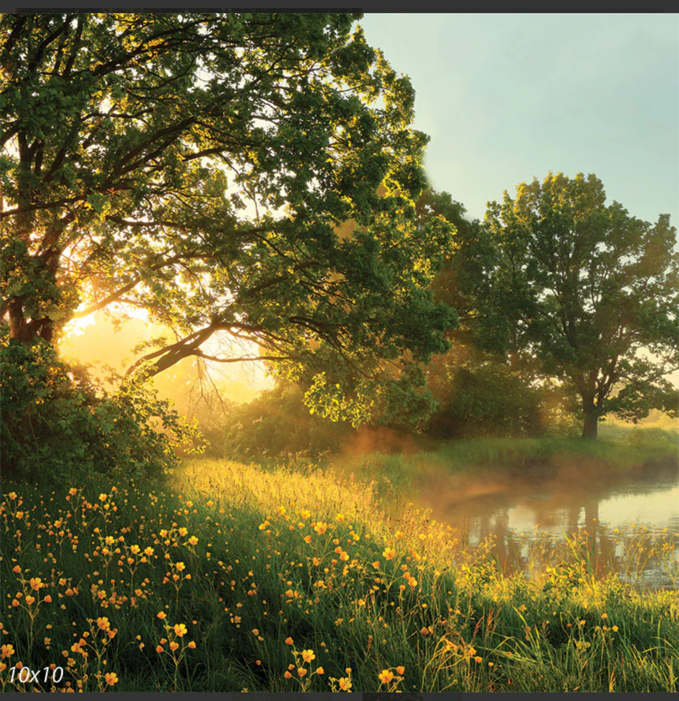 Golden hour meadow by lake backdrop option by findlay photographer