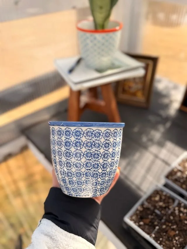 Hand-Printed Glazed Indoor Garden Planter - Blue