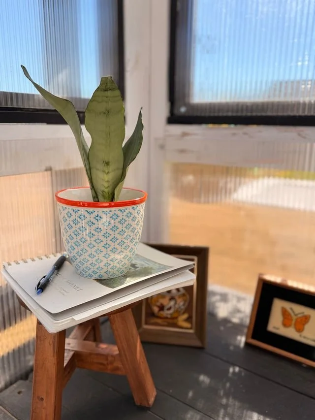 Hand-Printed Glazed Indoor Garden Planter - Blue & Orange