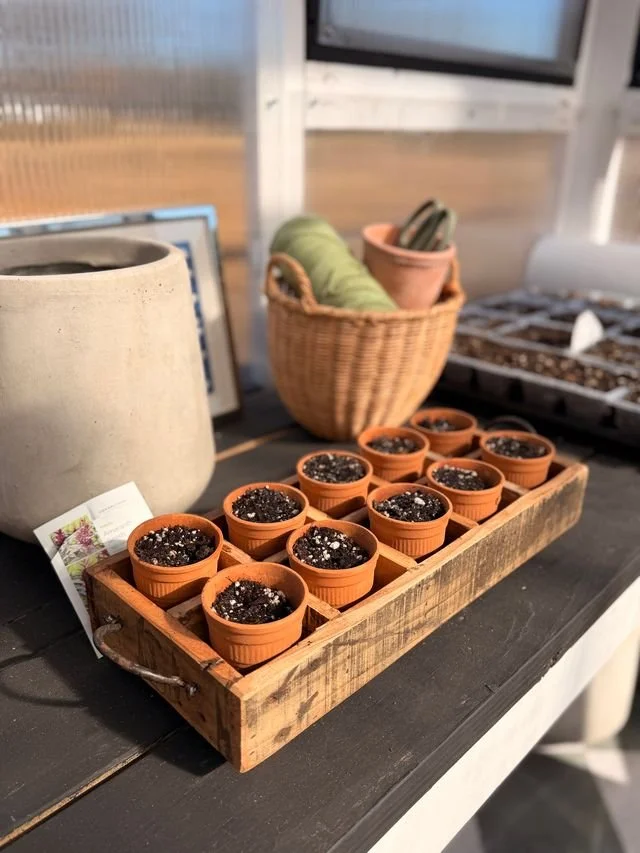 Rustic Wooden Caddy with Terra Cotta Cups