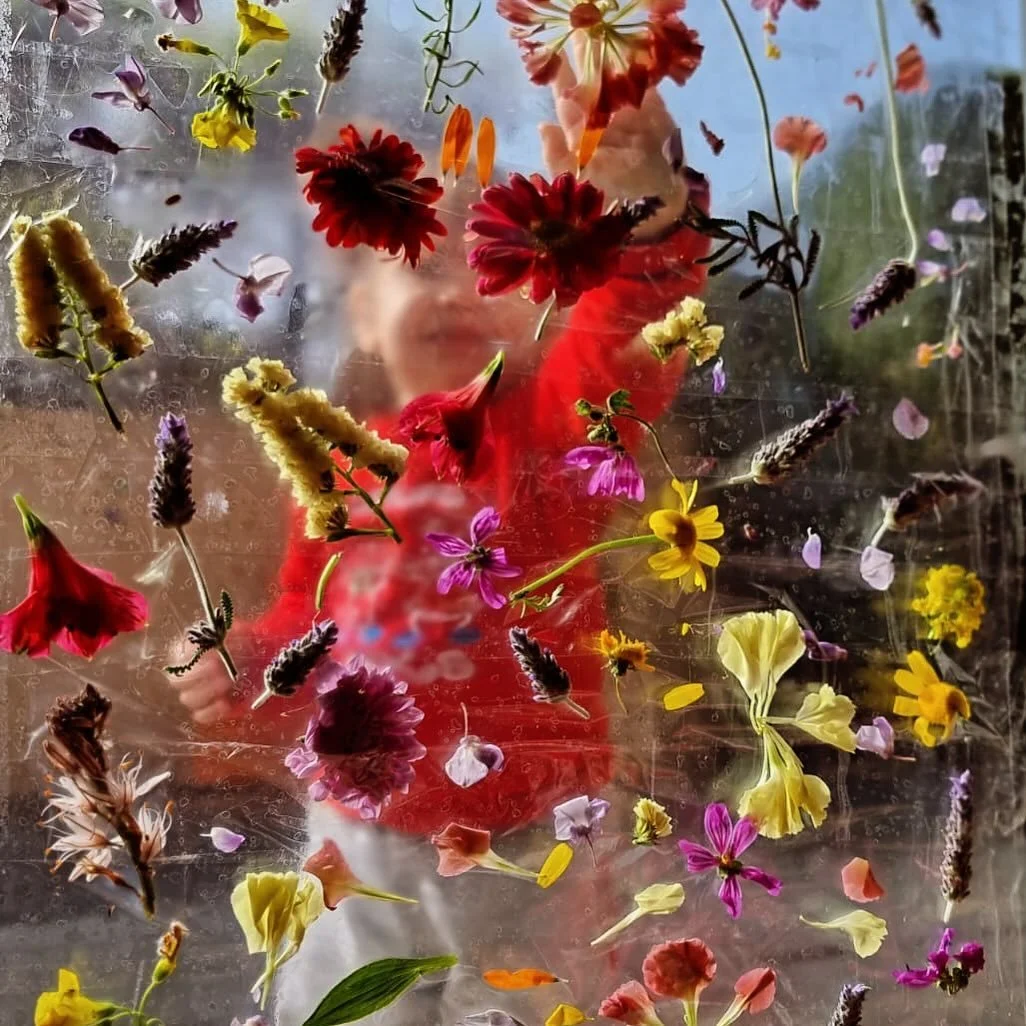 Aferram flors als vidres 🥰 #flor #flower #spring #primavera #activity #taller #workshop #kids #ni&ntilde;os #nenes #nensfeli&ccedil;os