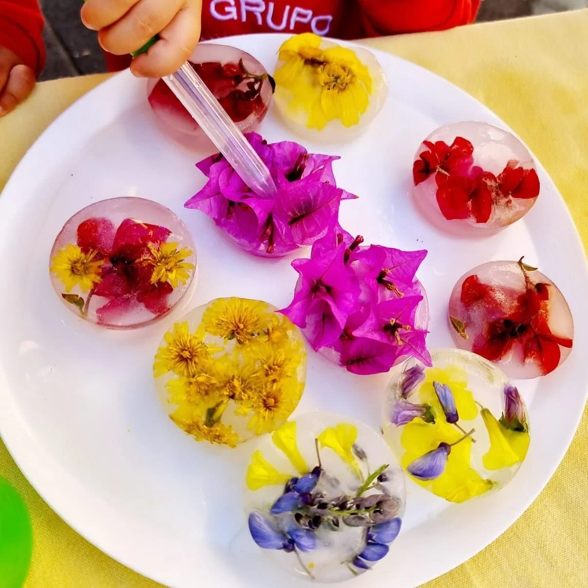 Frozen flowers 🌸#primavera #spring #flowers #kids #taller #activity #workshop #children #guarderia