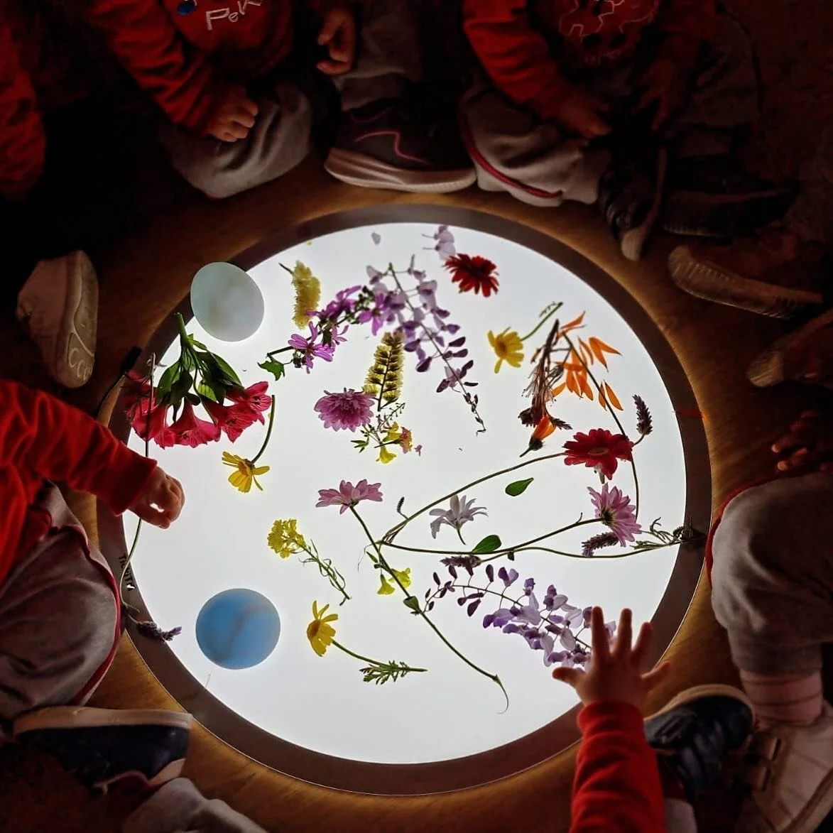 Taula de llums ✨ #actividad #mesa #luz #ni&ntilde;os #children #kids #guarderia #nursing #taller #amazing #art #instadaily