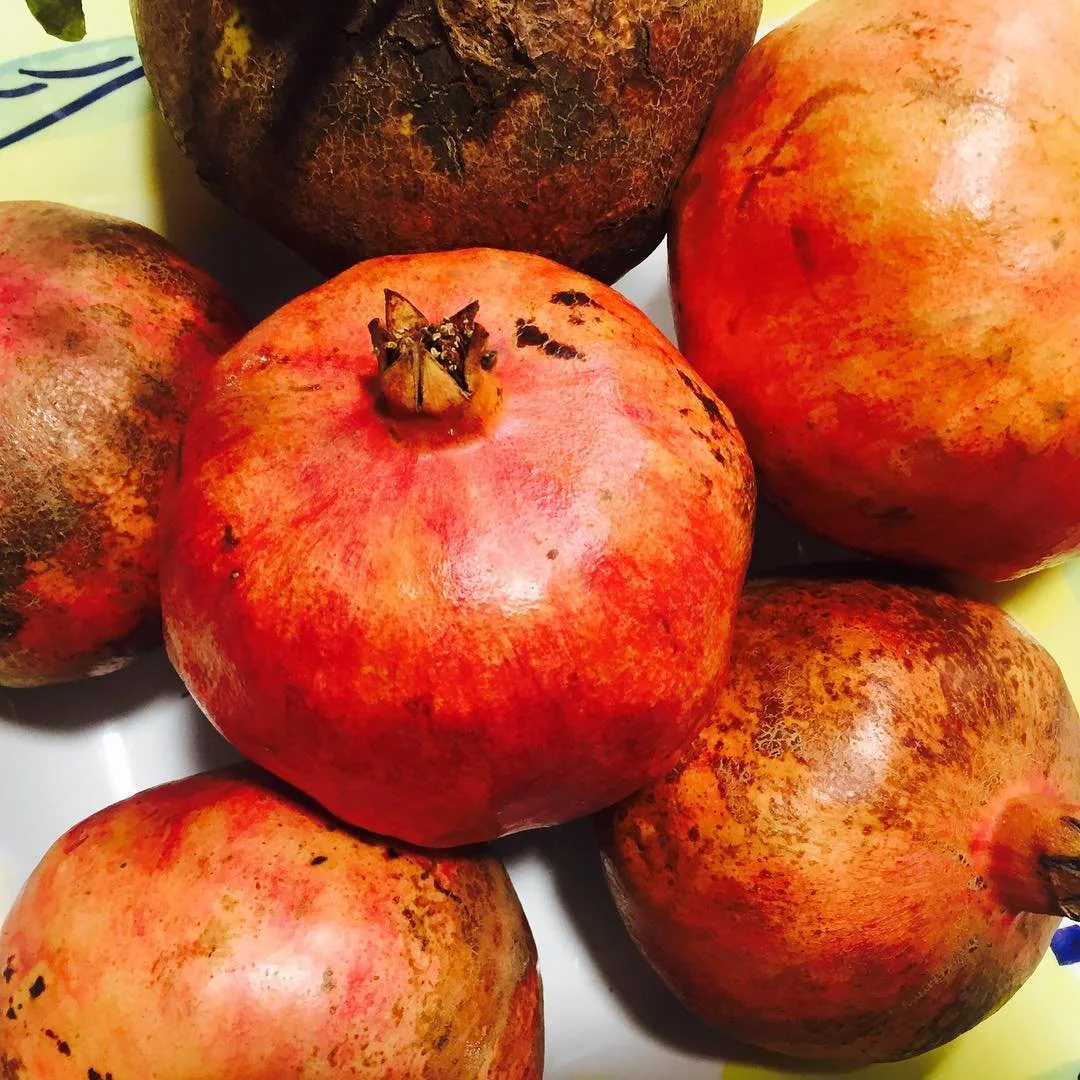 Pomegranates #instakids #fruit #autumn #preescolar #nursery #school #healthy #guarderia #infantil #kids #ni&ntilde;os #children #love #daycare #pekes #instadaily #food #photography #childcare #cute #yummy #color #picoftheday