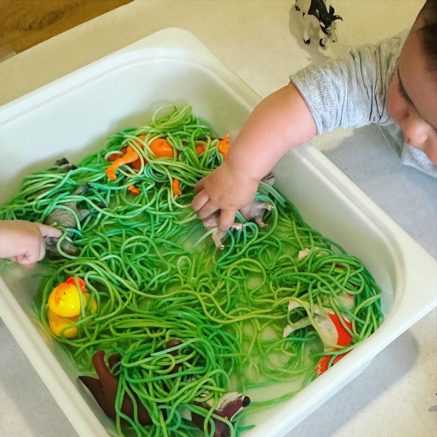 Taller sensorial con pasta 🟢  #babies #actividad #ni&ntilde;os #bebes #kids #nursingschool #kinder #children #guarderia #photooftheday #babiesofinstagram