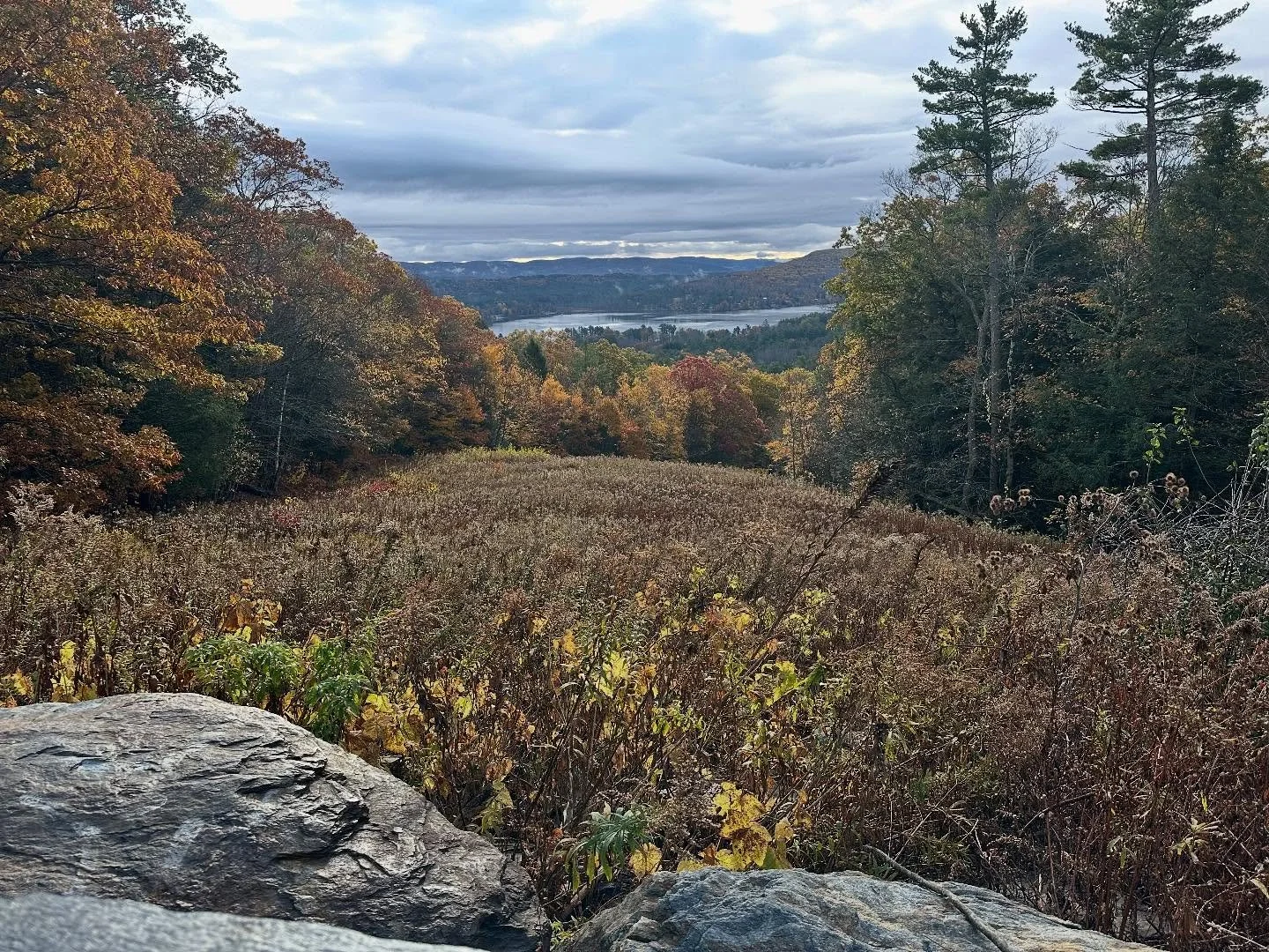 In a world filled with uncertainty, morning hikes with a friend anchor me in this moment

#movementasmedicine #beautifulmorning #friendship