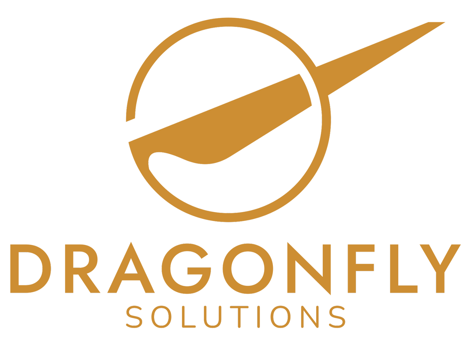 Dragonfly Solutions Dragonfly solutions
