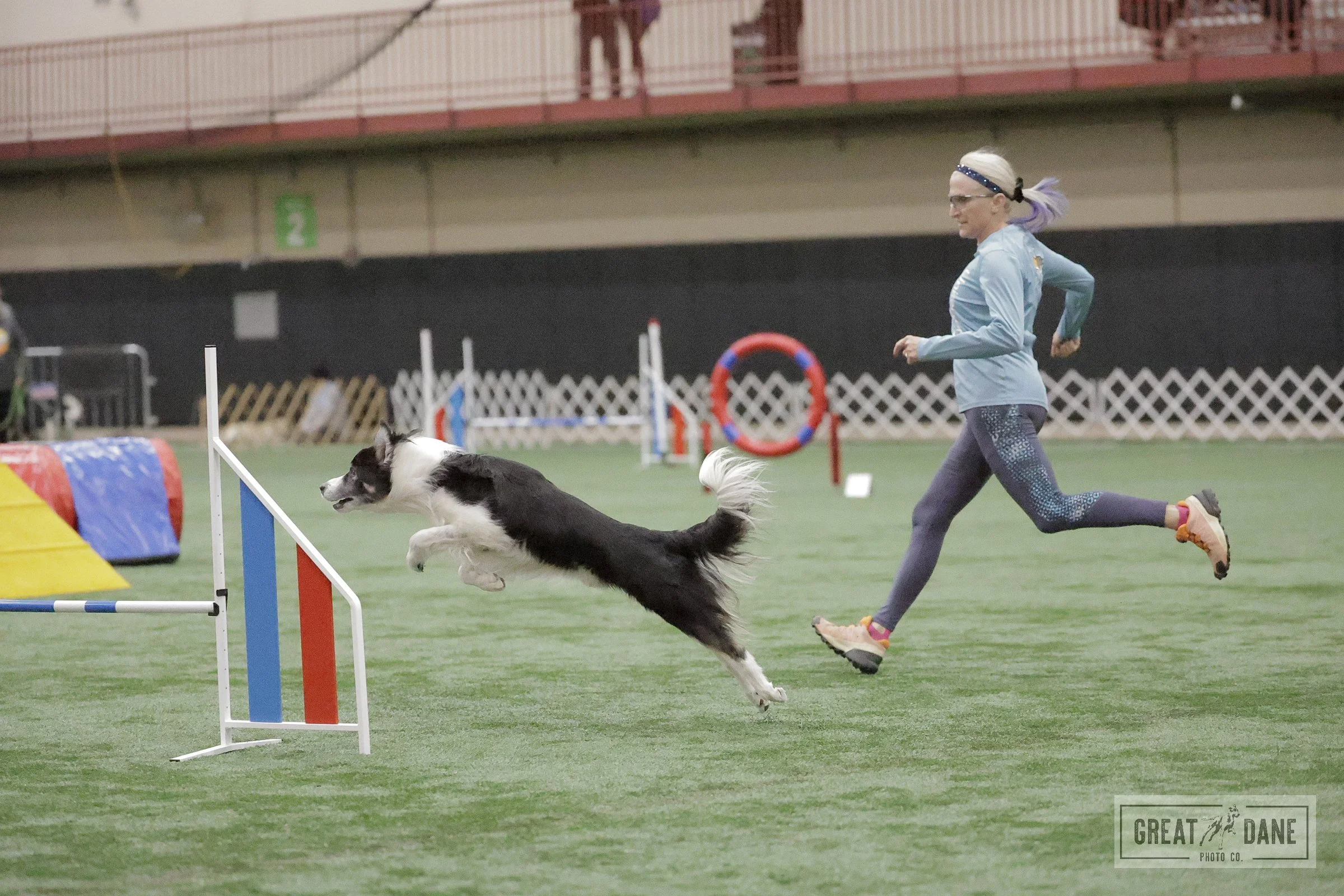 Dog Agility Classes Madison and Southern Wisconsin Area 
