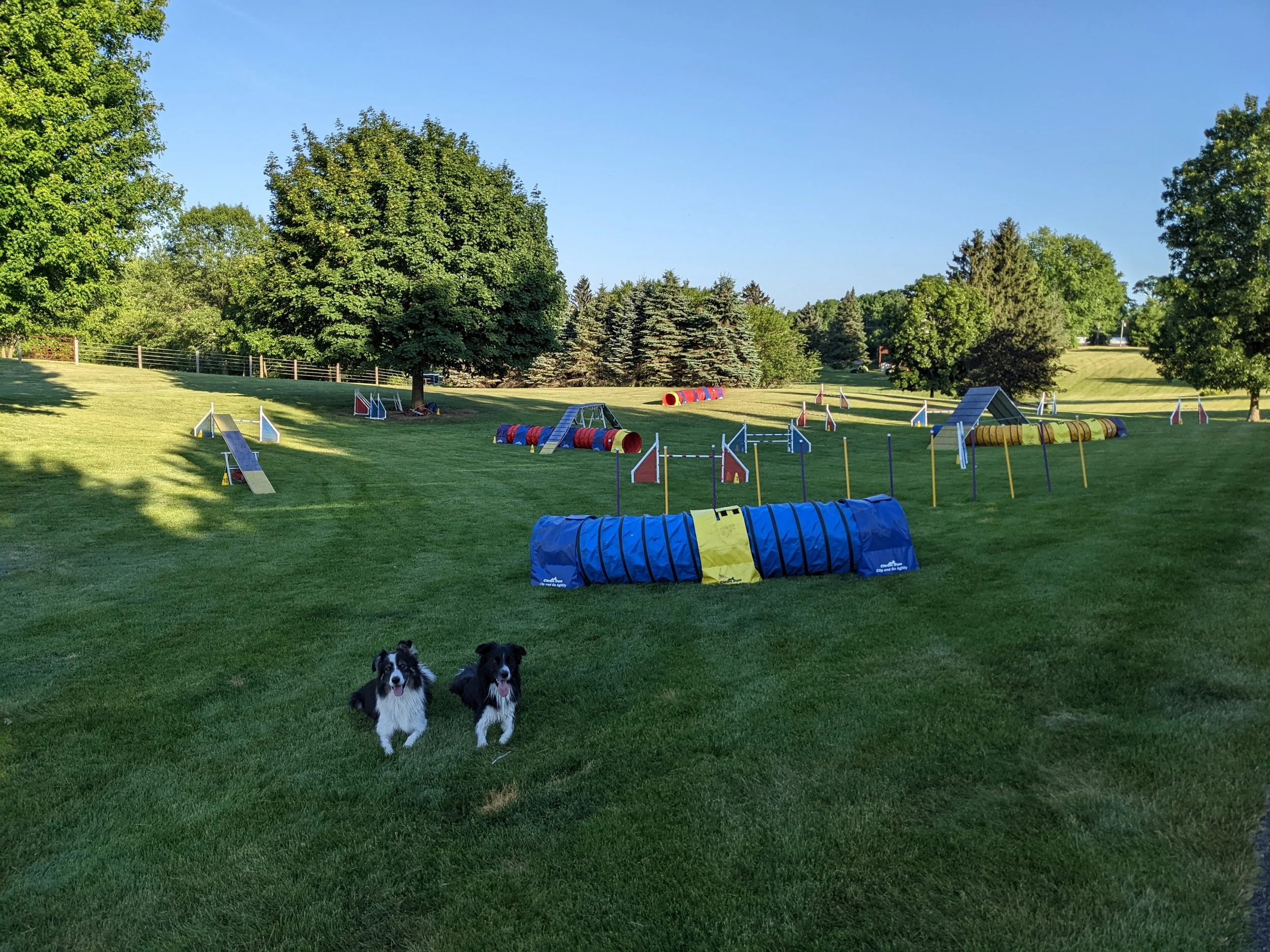 Agility Field Rental Madison Wisconsin Area