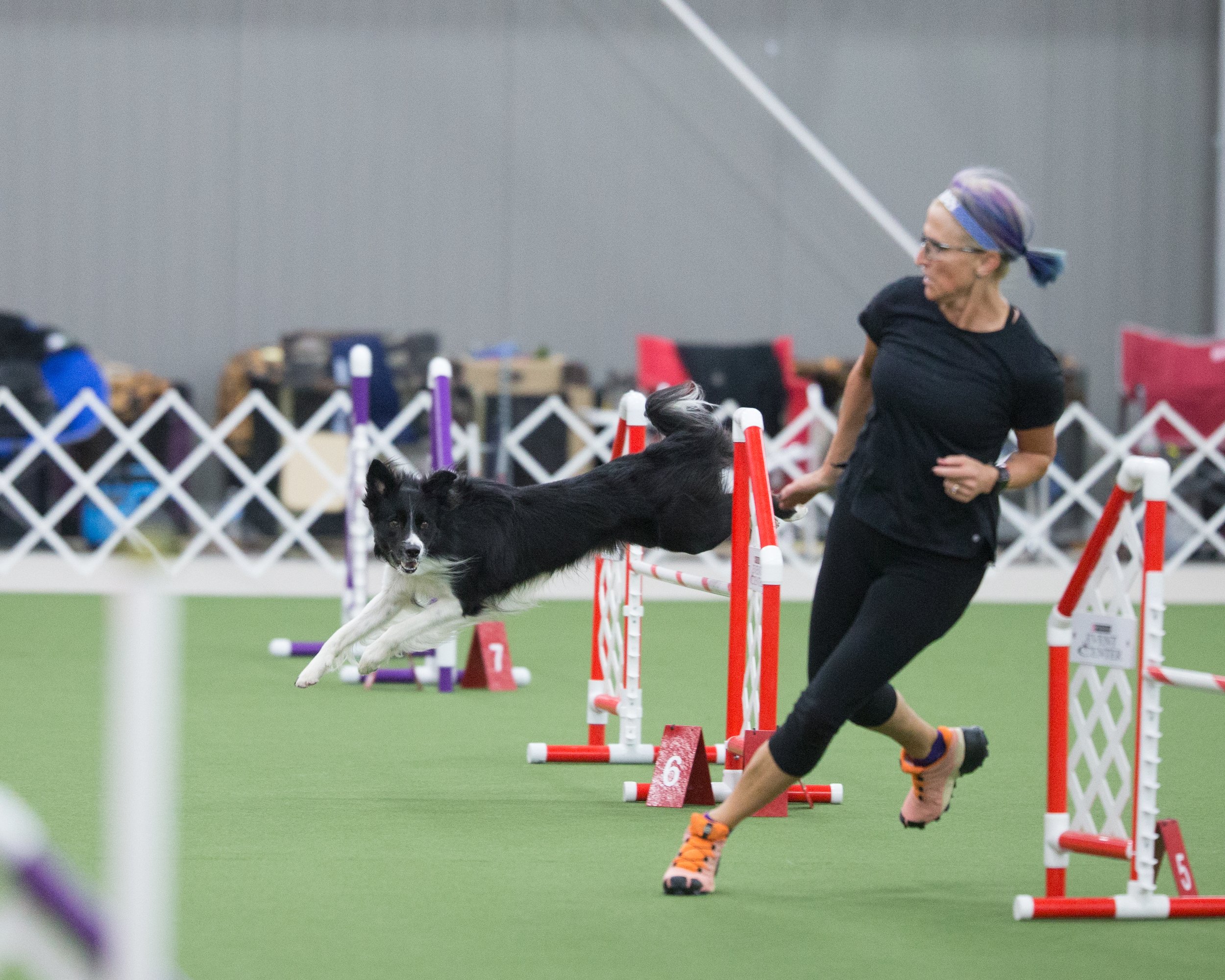 Agility Field Rental Madison Wisconsin Area