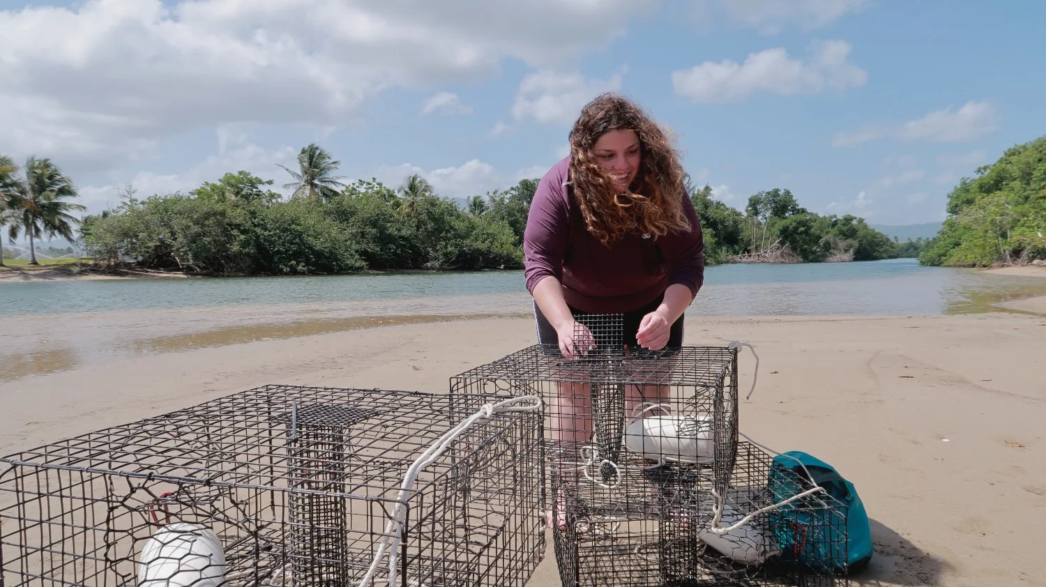 A Tropical Coastal Lagoon Serves as Spawning Habitat for Multiple Callinectes spp.