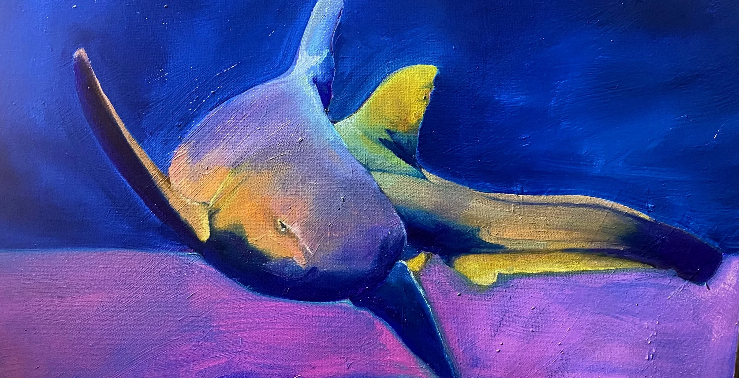 Shark 2500.jpg