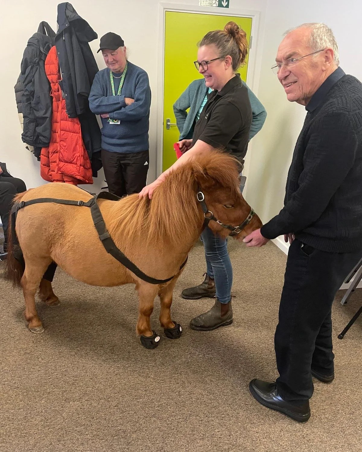 Dartmoor Miniature ponies paid a truly special visit to our Memory Matters Plymouth CST+ Group 🐴💚

Dartmoor Carriages shared fascinating facts about these incredible little ponies and opened up the floor for a Q&amp;A. Animals have such a gentle wa