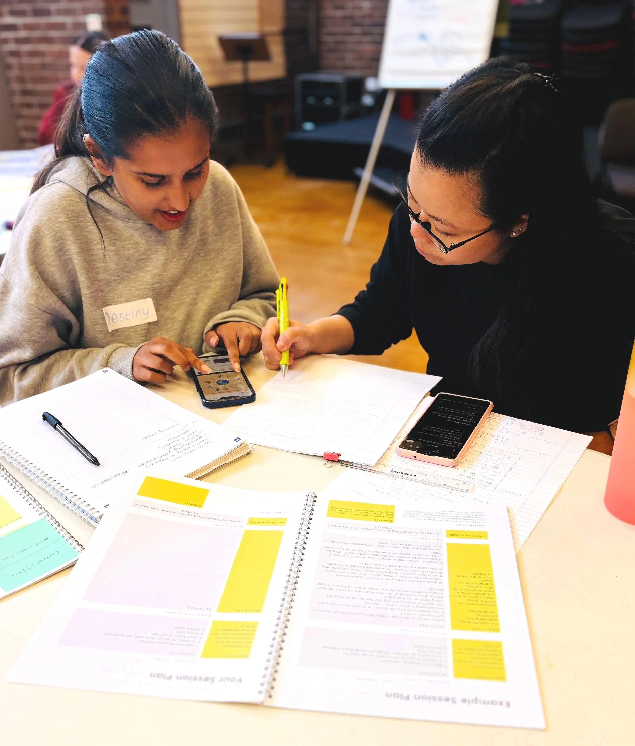 Cognitive Stimulation Therapy Training