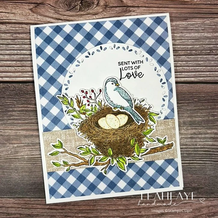 April SYS 04.2026 Bird Card Love Checkered background with watermark.jpeg