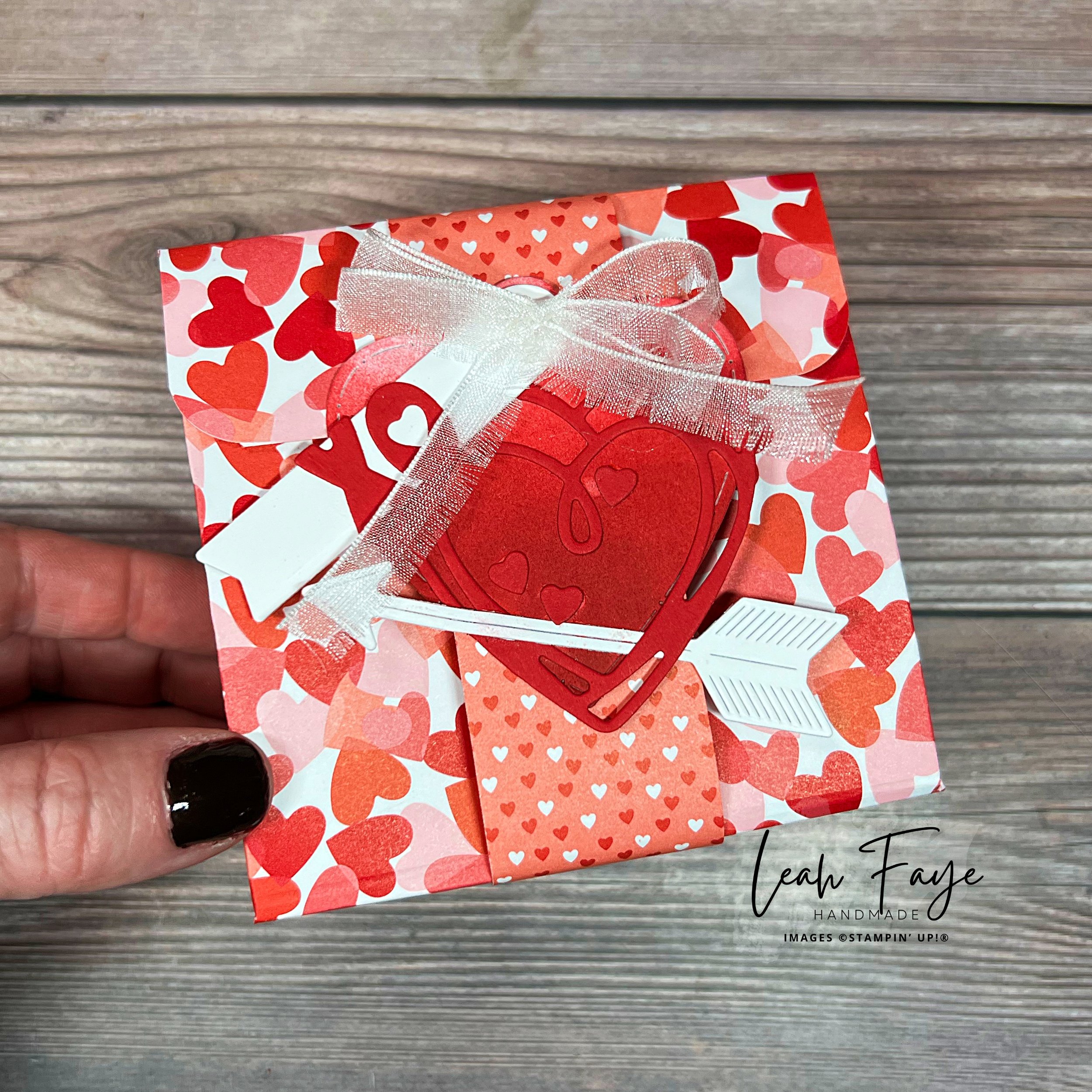 Front of treat pouch with belly band 01.2026 with watermark.jpg