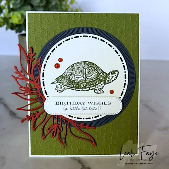 Feb SYS turtle with watermark.jpeg