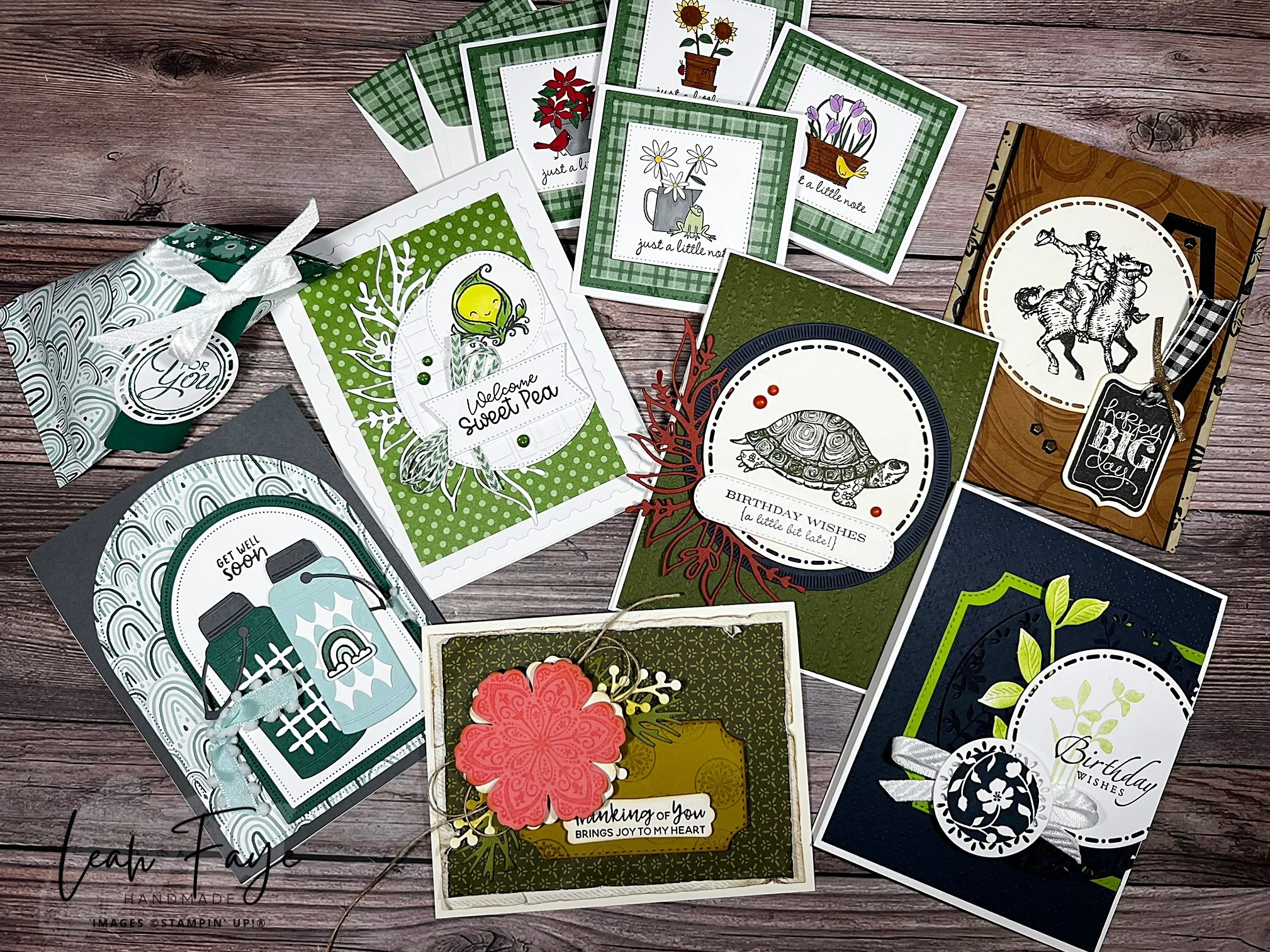 Stamp Your Stash February 2026 All Projects with watermark.jpeg