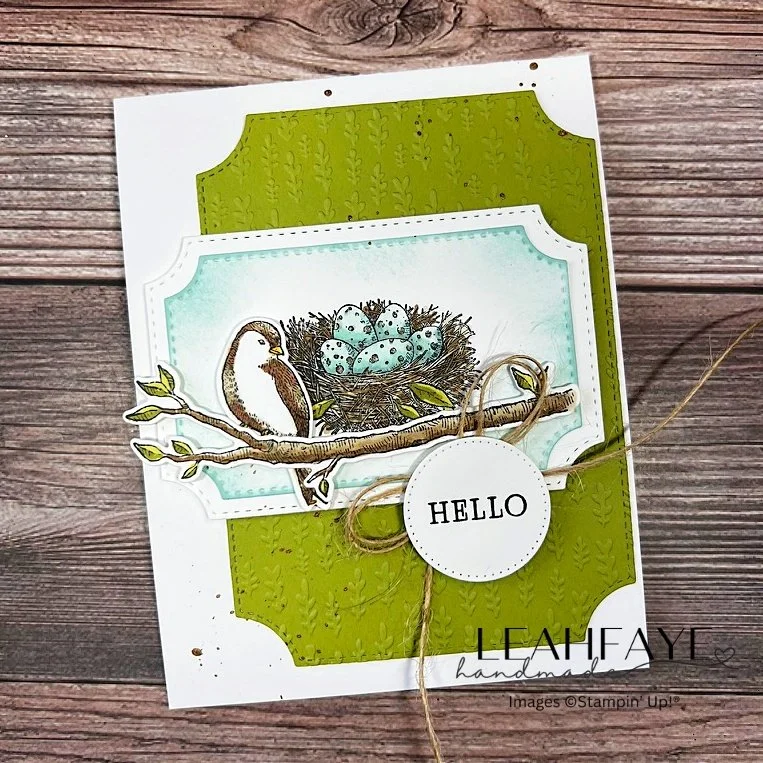 Bird and nest march sys card.jpeg