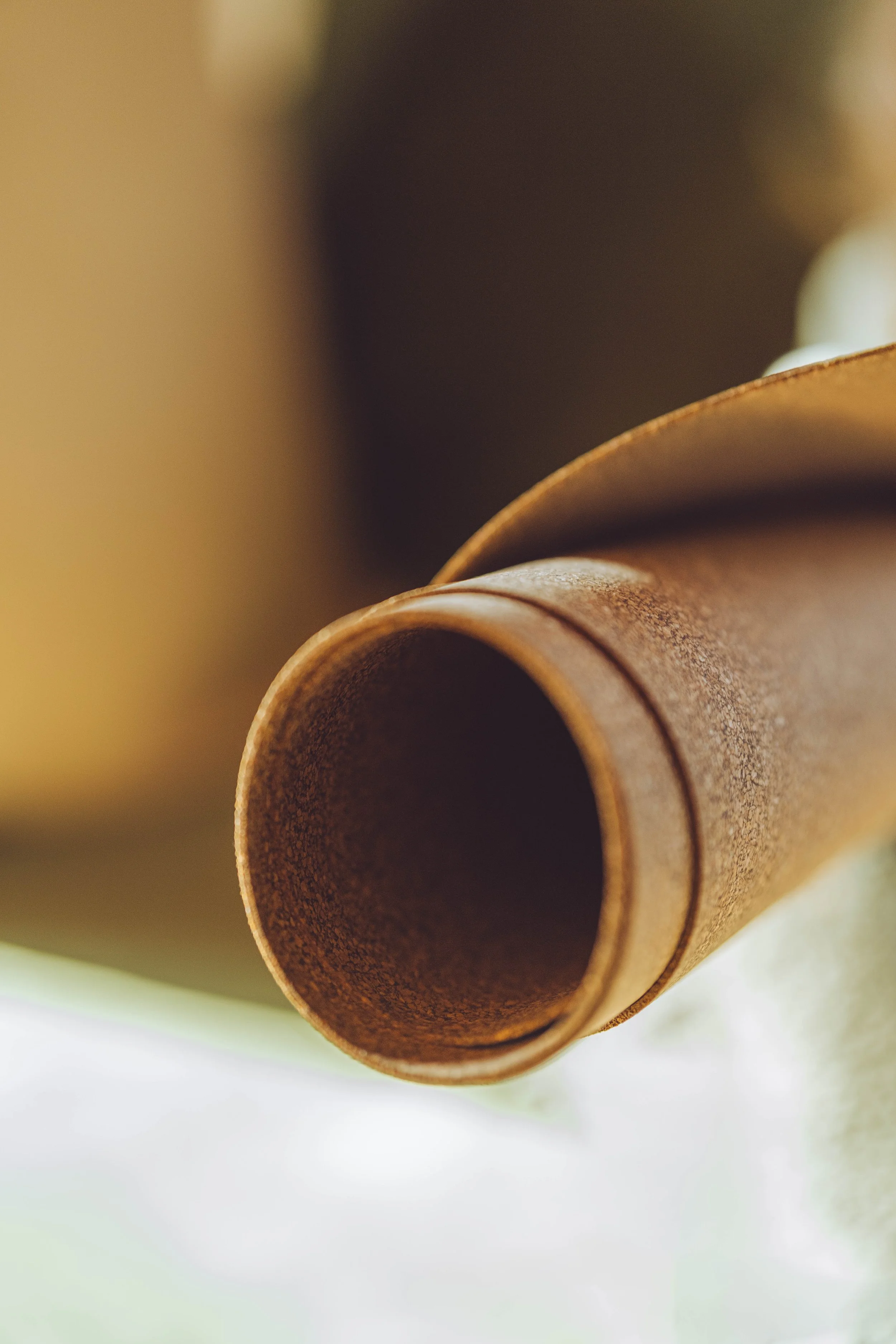 20251119_Gravitas Cork Mat_LittlePondDigital -1.jpg