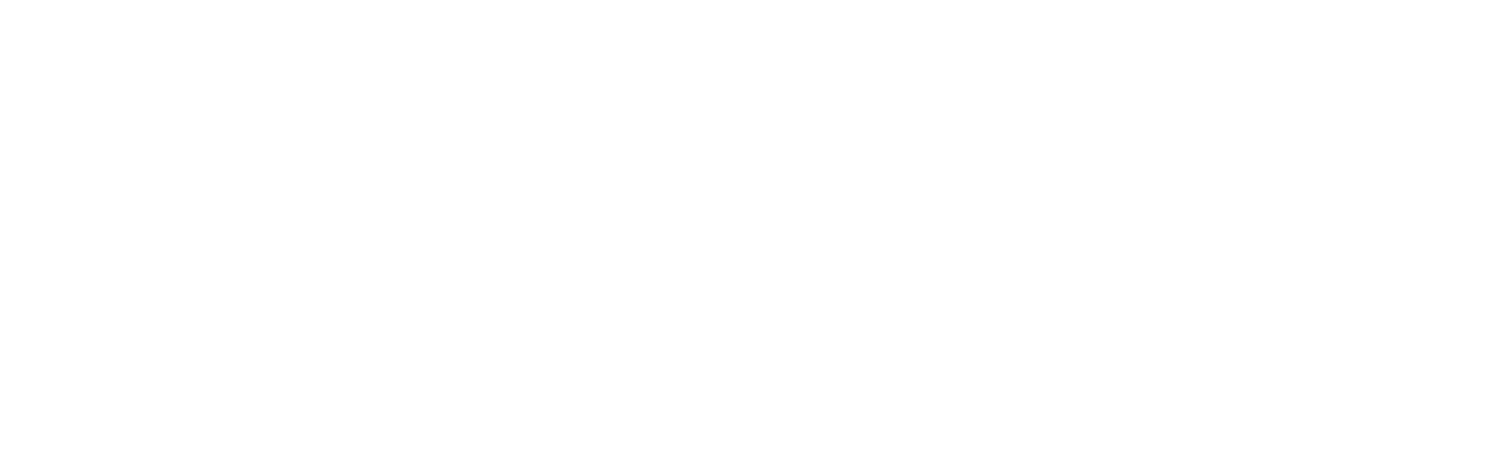 Gravitas 