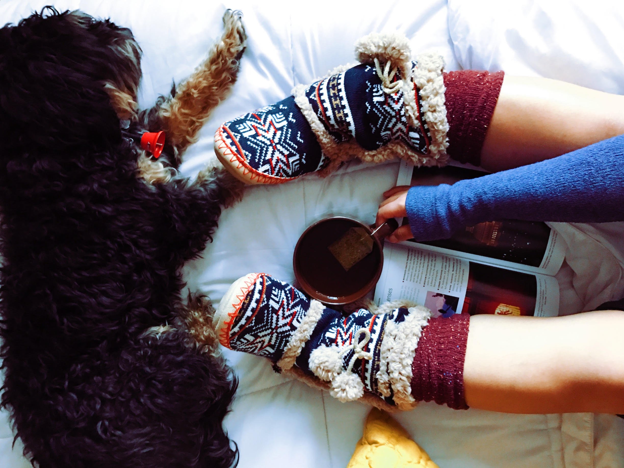 Keeping Your PDX Home Warm This Winter… Without Breaking the Bank