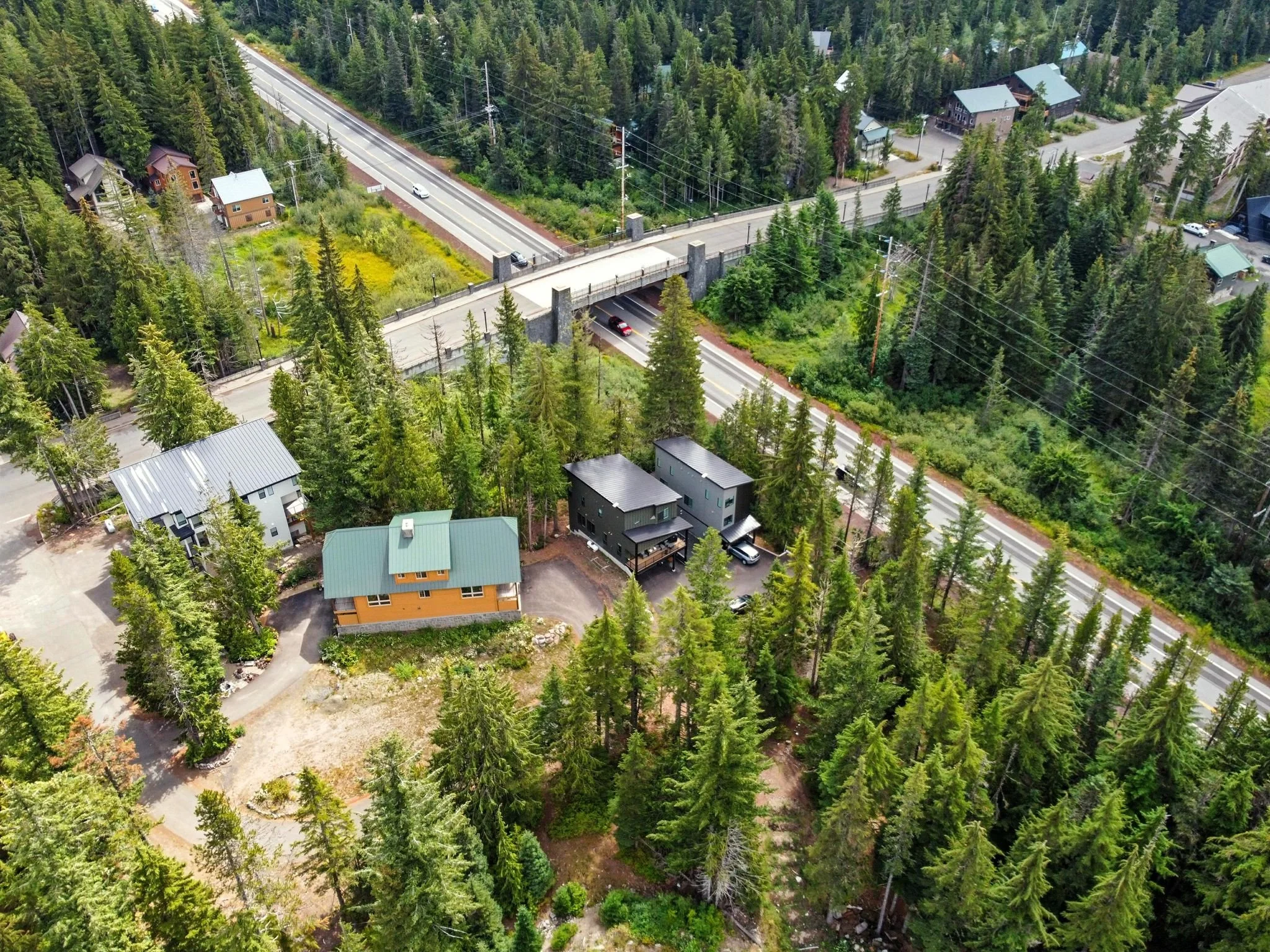 10_88264_E_Steel_Ln_Government_Camp_OR_97028_USA-Exterior-DJI_0894.jpg