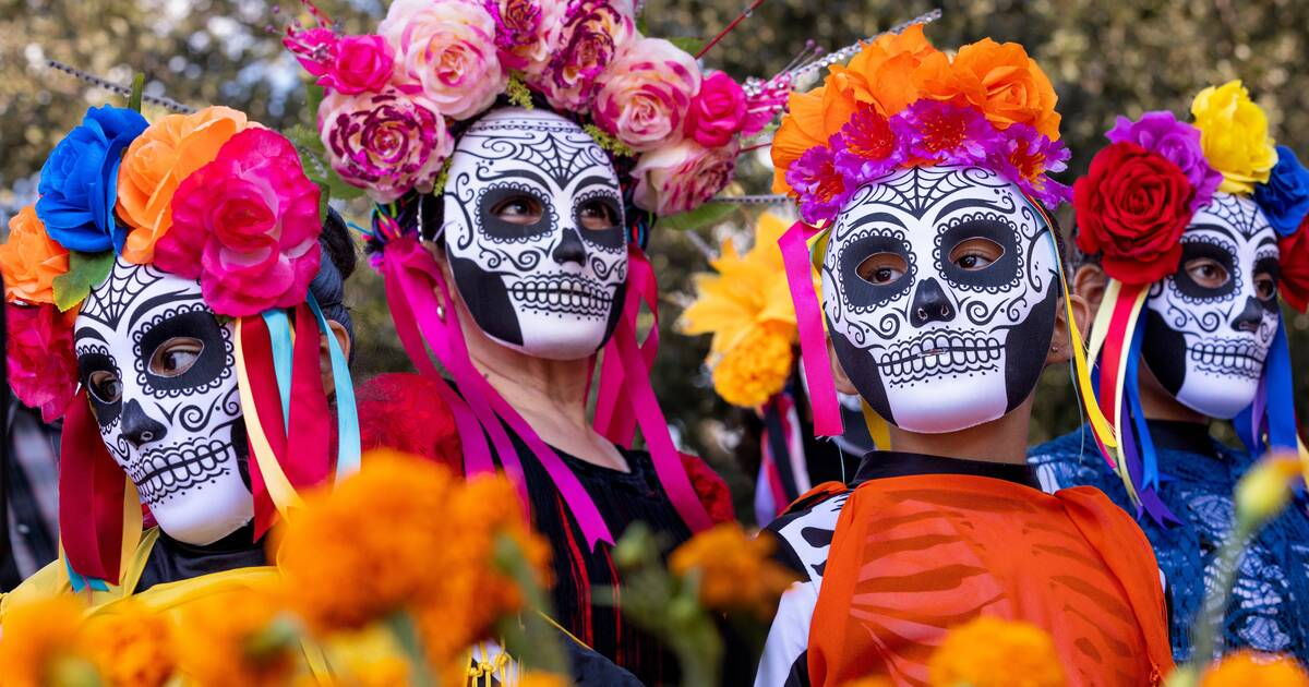 Our Monthly Picks Around Town: October 2025