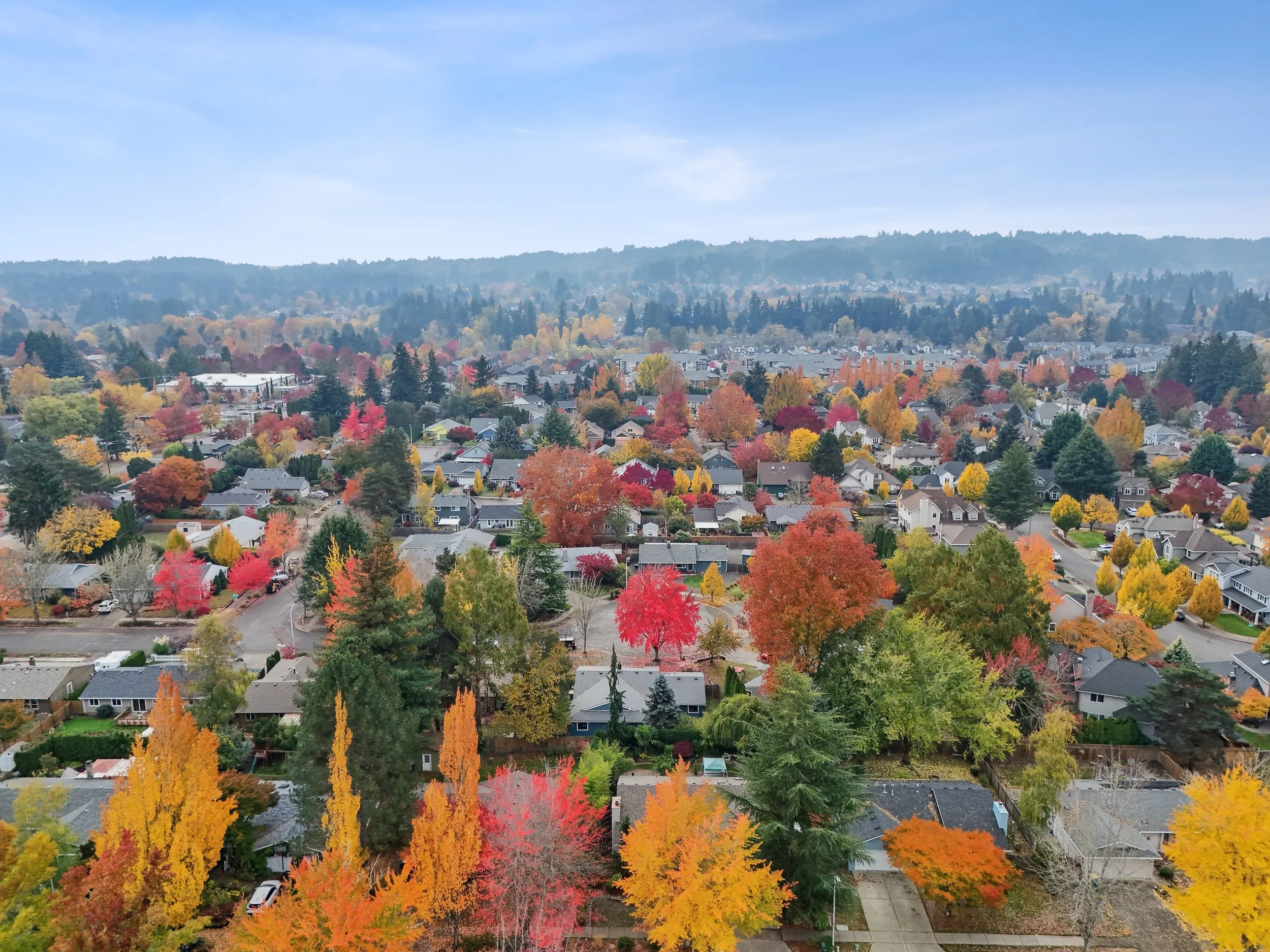 DJI_20251031120627_0001_D_WebRes.jpg