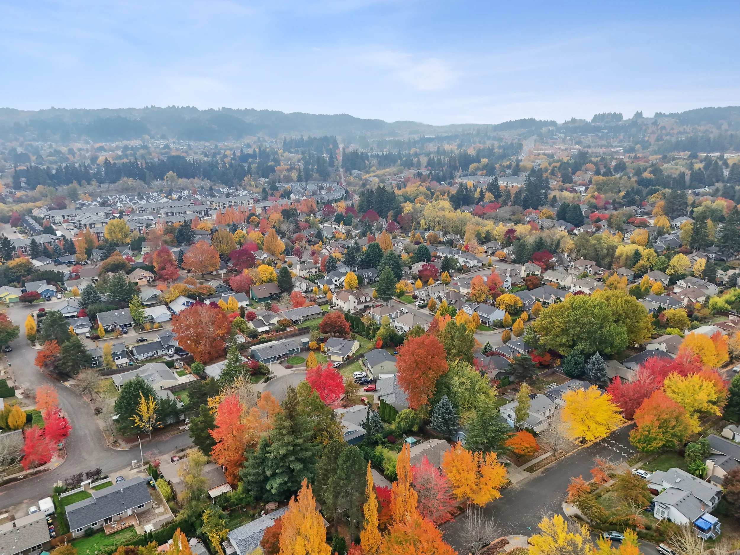 DJI_20251031120644_0006_D_WebRes.jpg