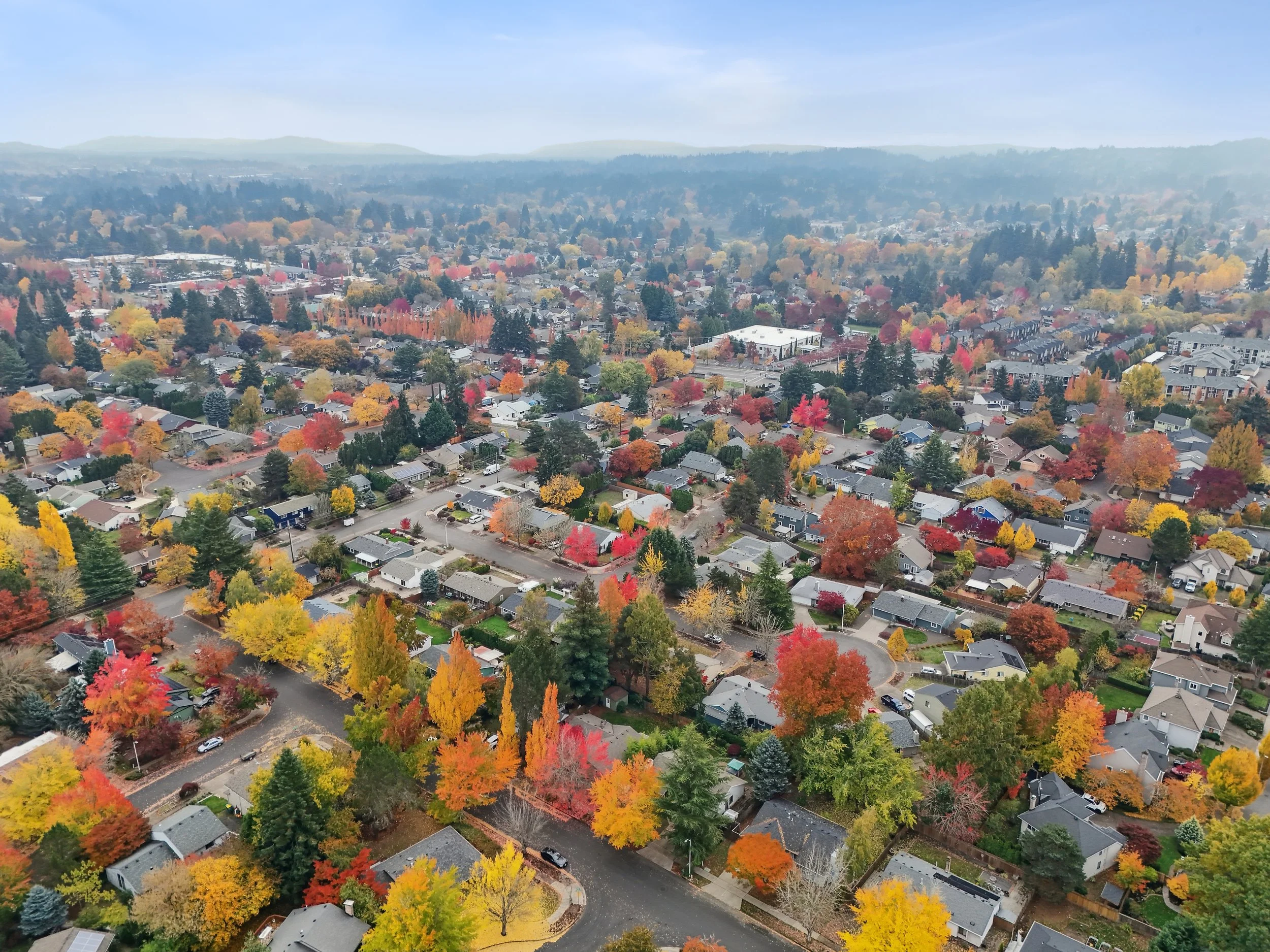 DJI_20251031120809_0026_D_WebRes.jpg