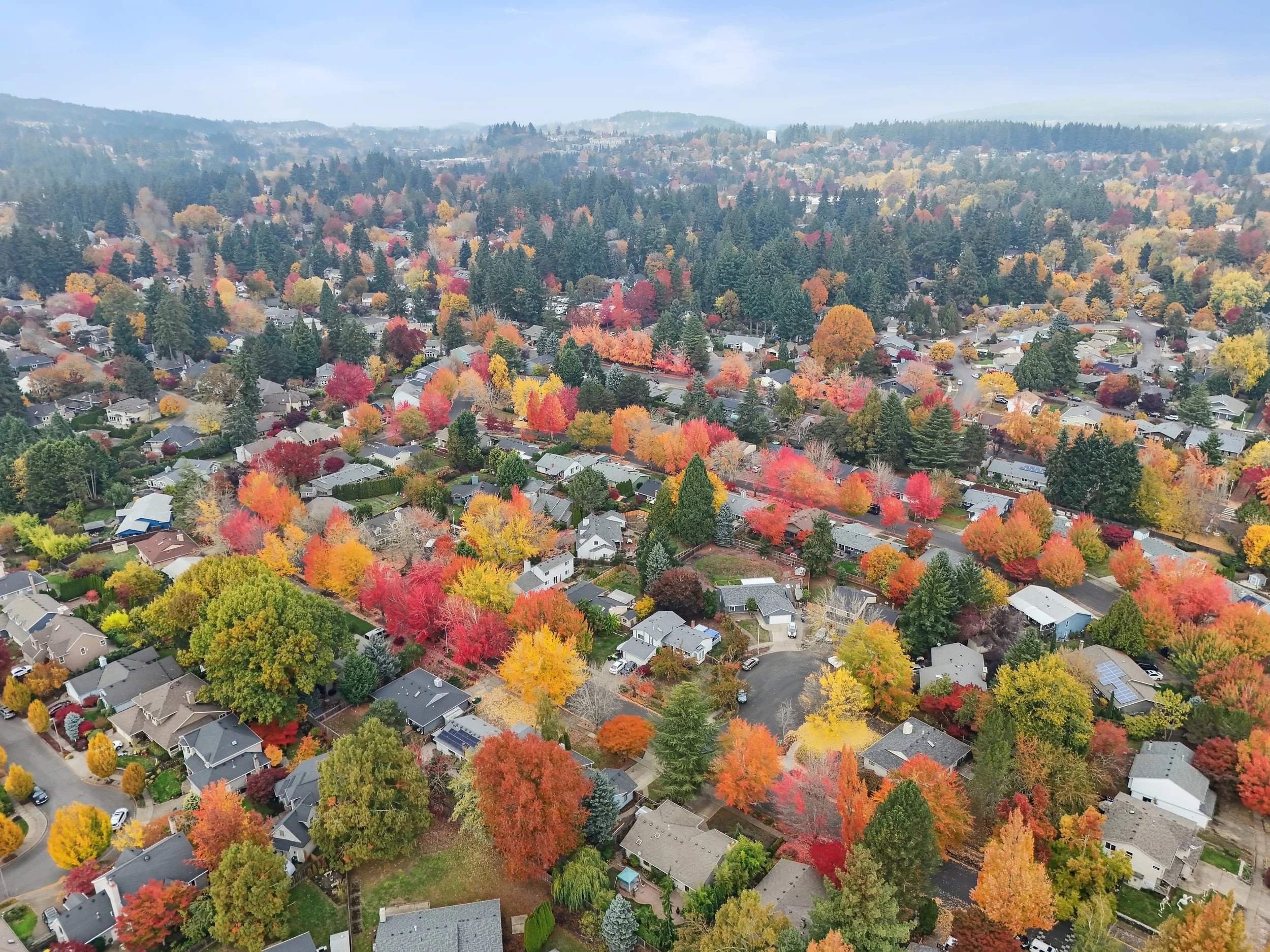 DJI_20251031120849_0031_D_WebRes.jpg