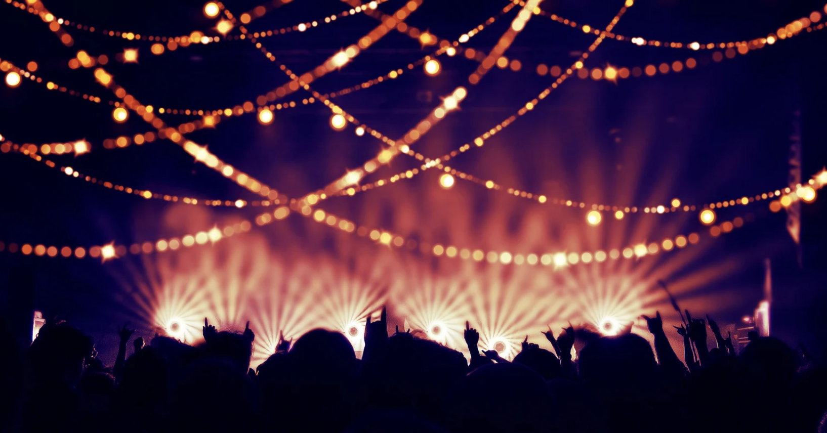 Our Monthly Picks Around Town: February 2026