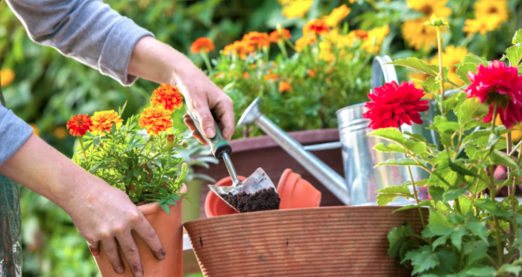 Our Monthly Picks Around Town: April 2026