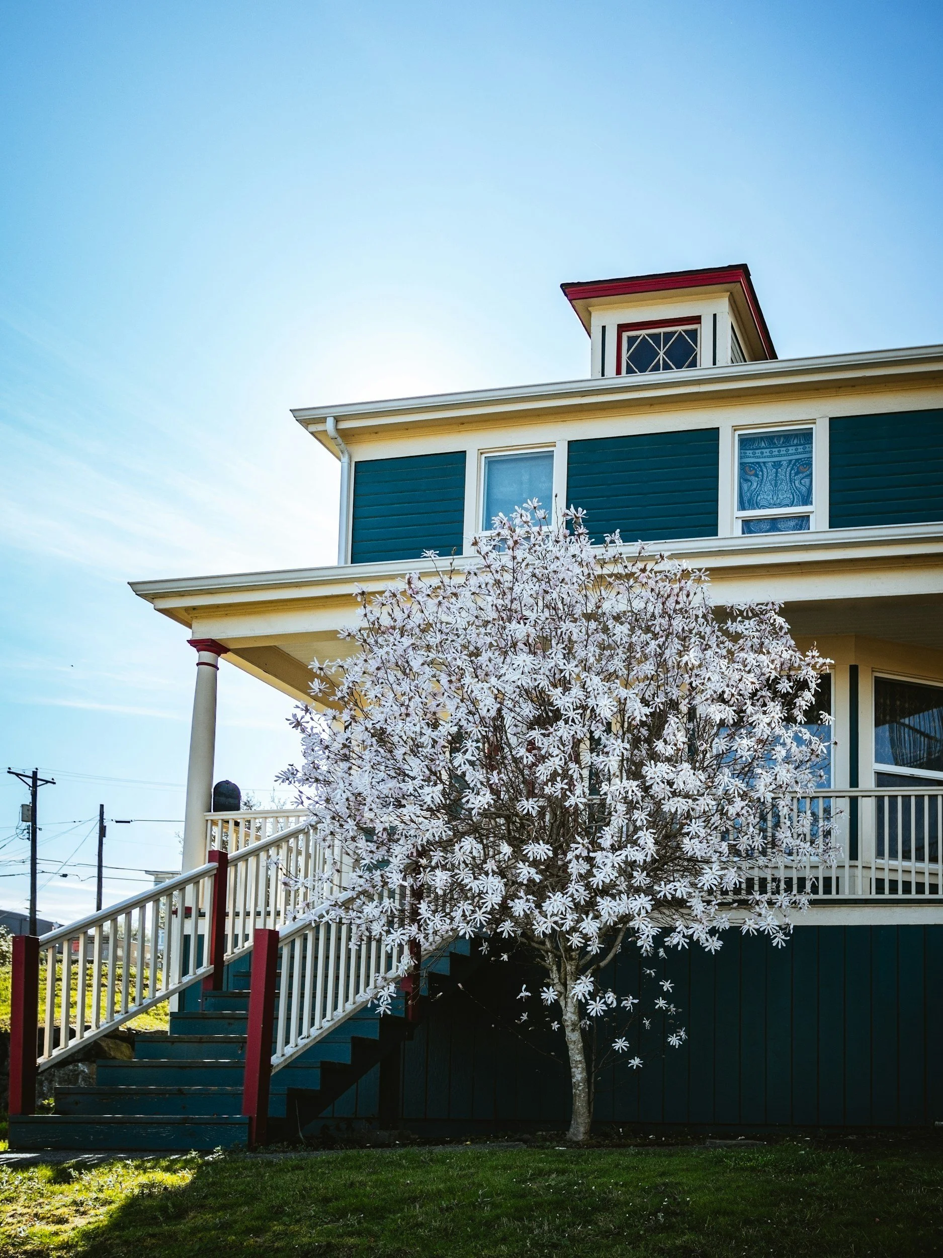 Urban Nest's Top Tips For Keeping Your Sanity in the Spring Real Estate Market