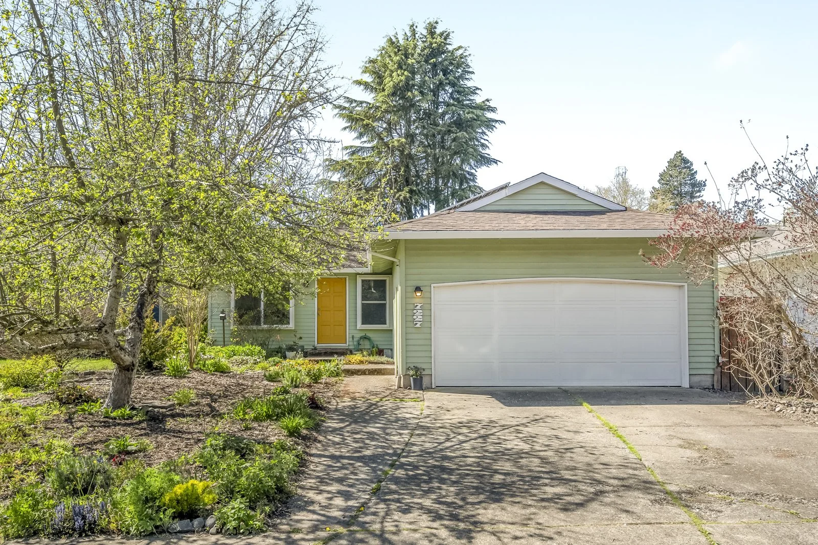 Green Dream in West Beaverton