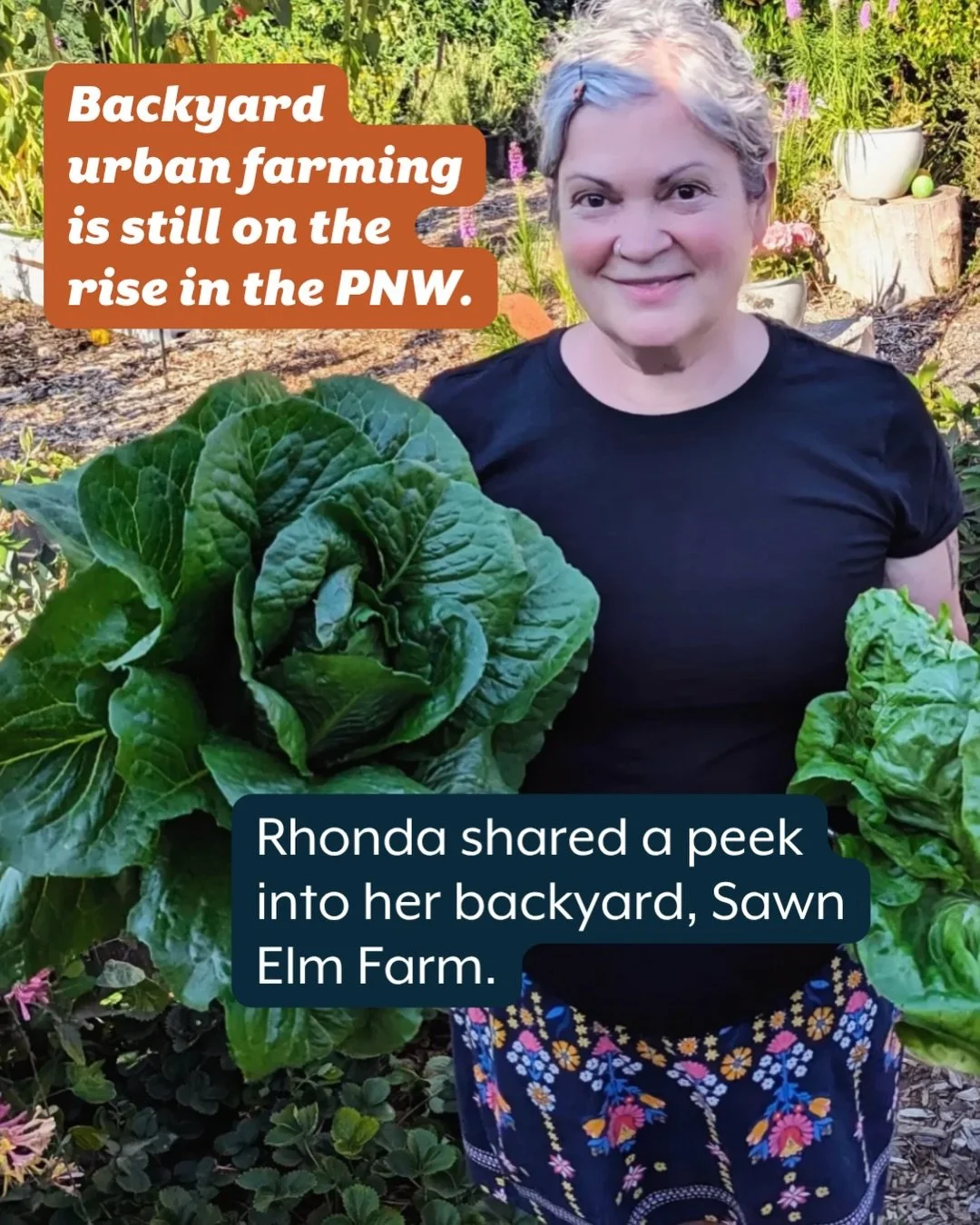 Don&rsquo;t miss Rhonda&rsquo;s recipe for Lavender Lemonade 🍋(last slide!)

@rhondaforrealestate is passionate about helping people understand the benefits of backyard farming and how you can use the space at your home to grow just about anything.
