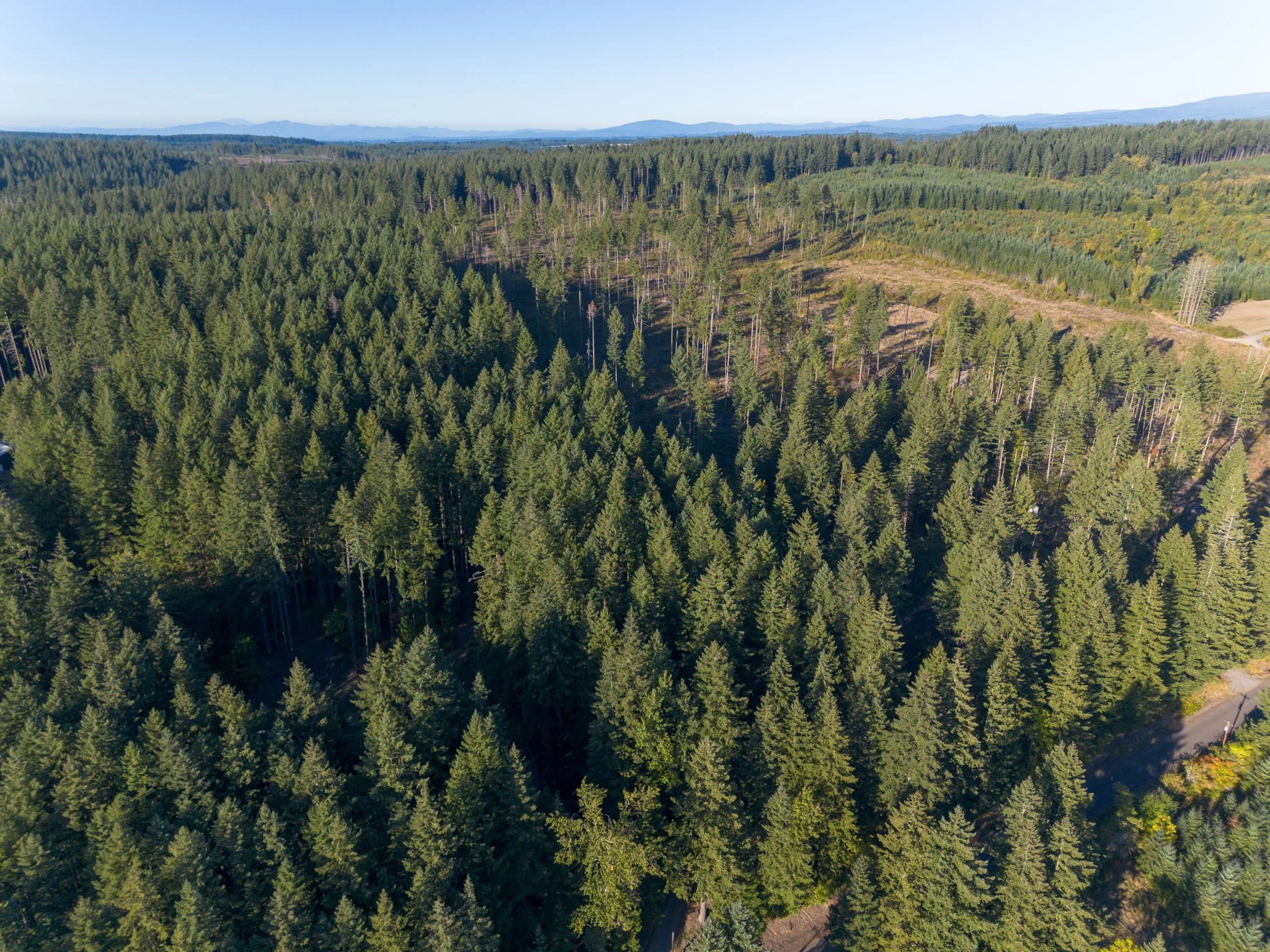 36+ Acres of Trees, Mountains and Tranquility!