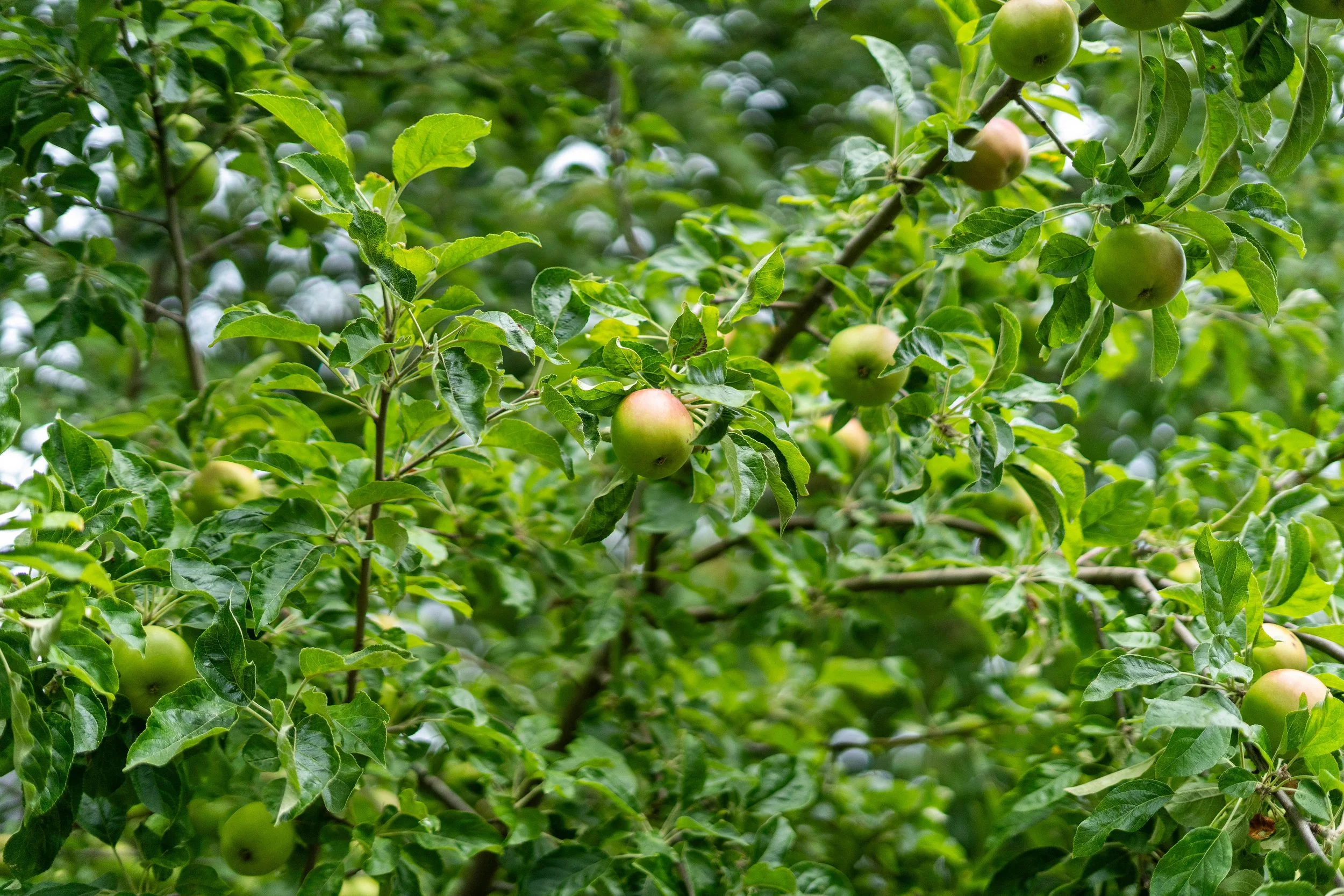 StacksPhotoCo_Selects-49.jpg