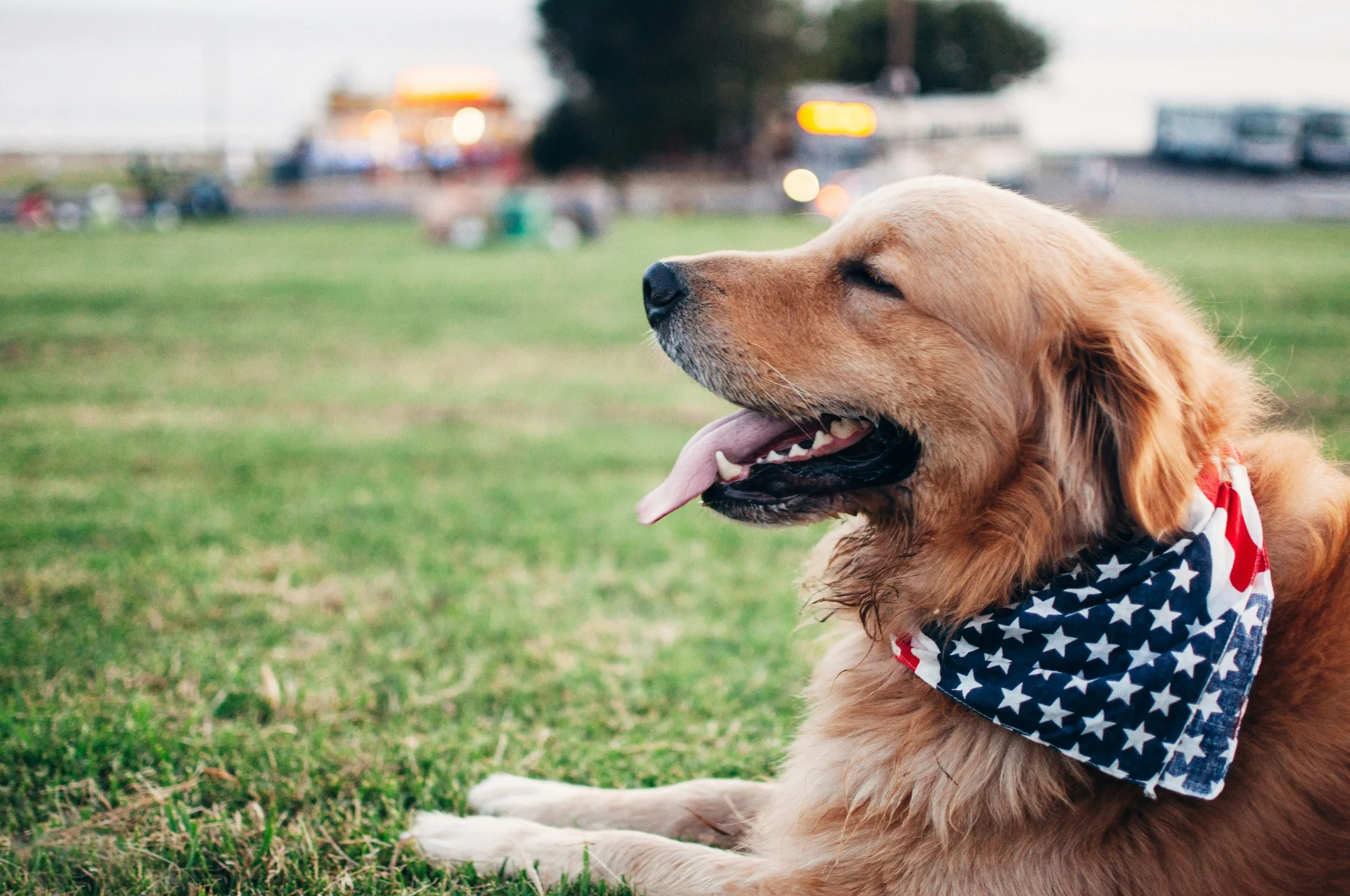 Our Monthly Picks Around Town: July 2026