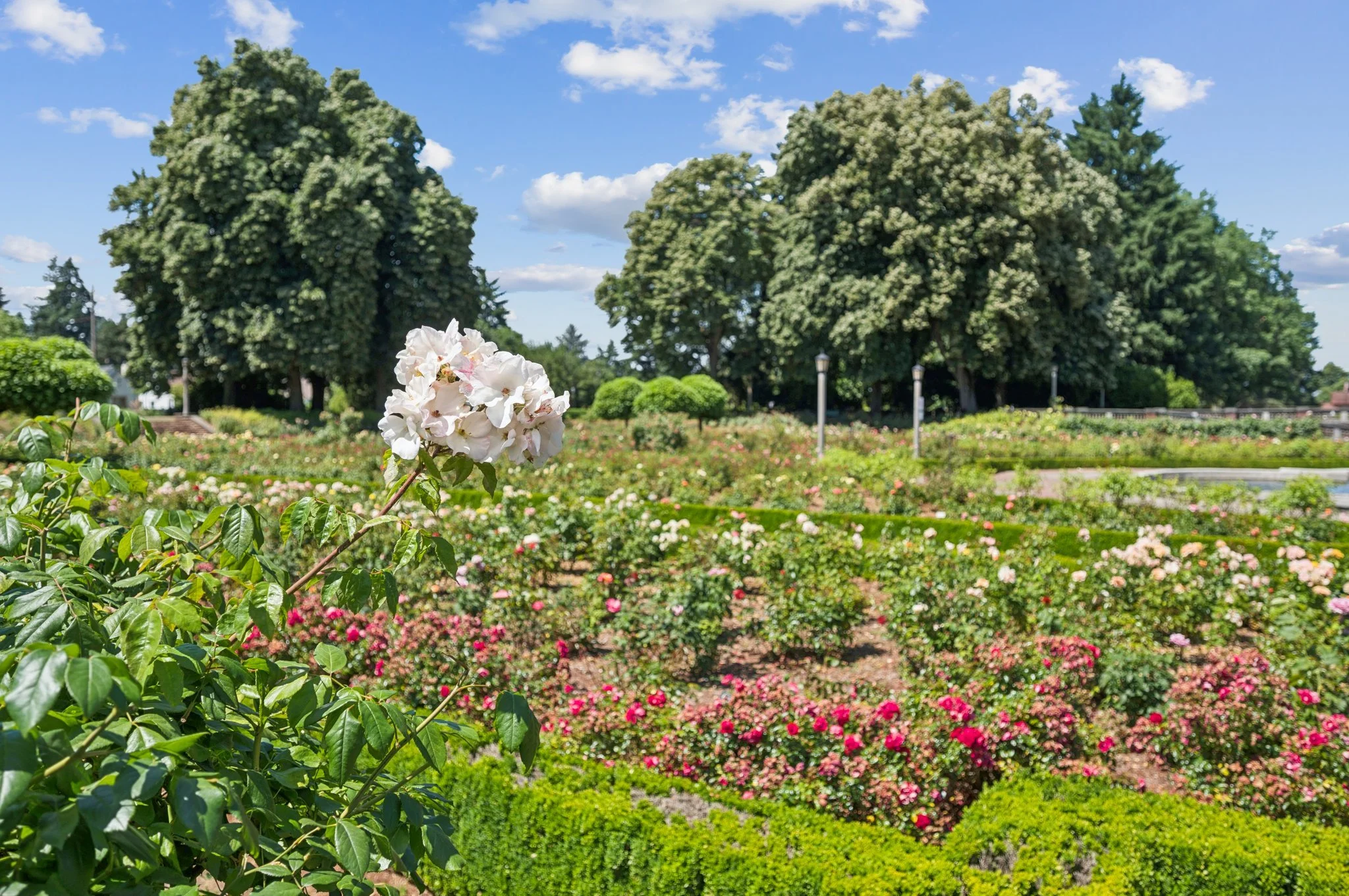 157.jpg