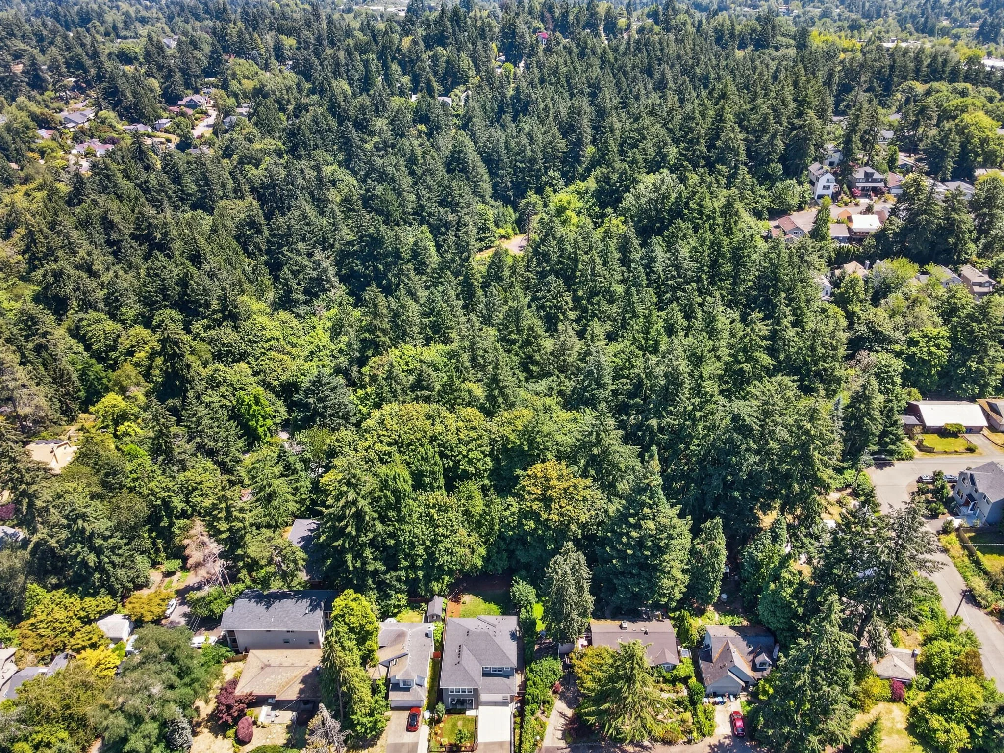 9228 SW 50th Ave-75.jpg