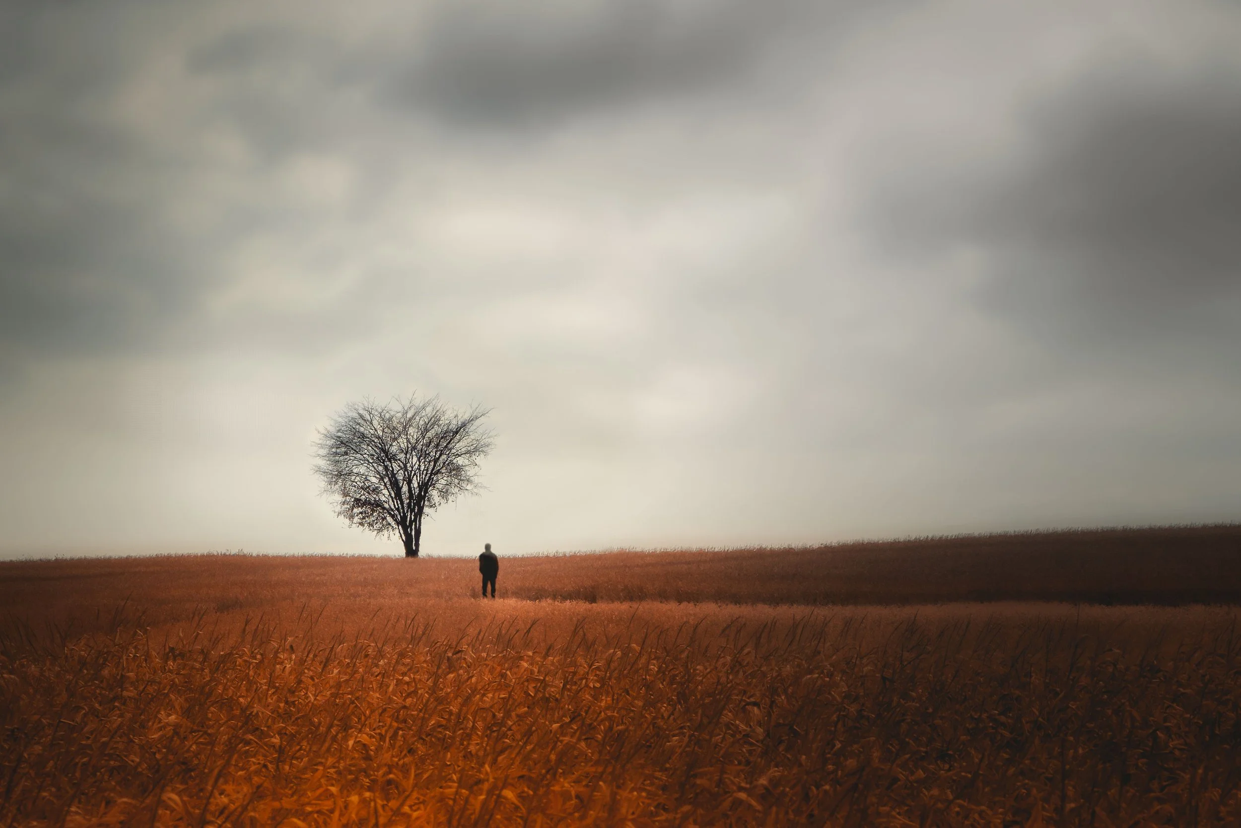 Negativity and Perspective