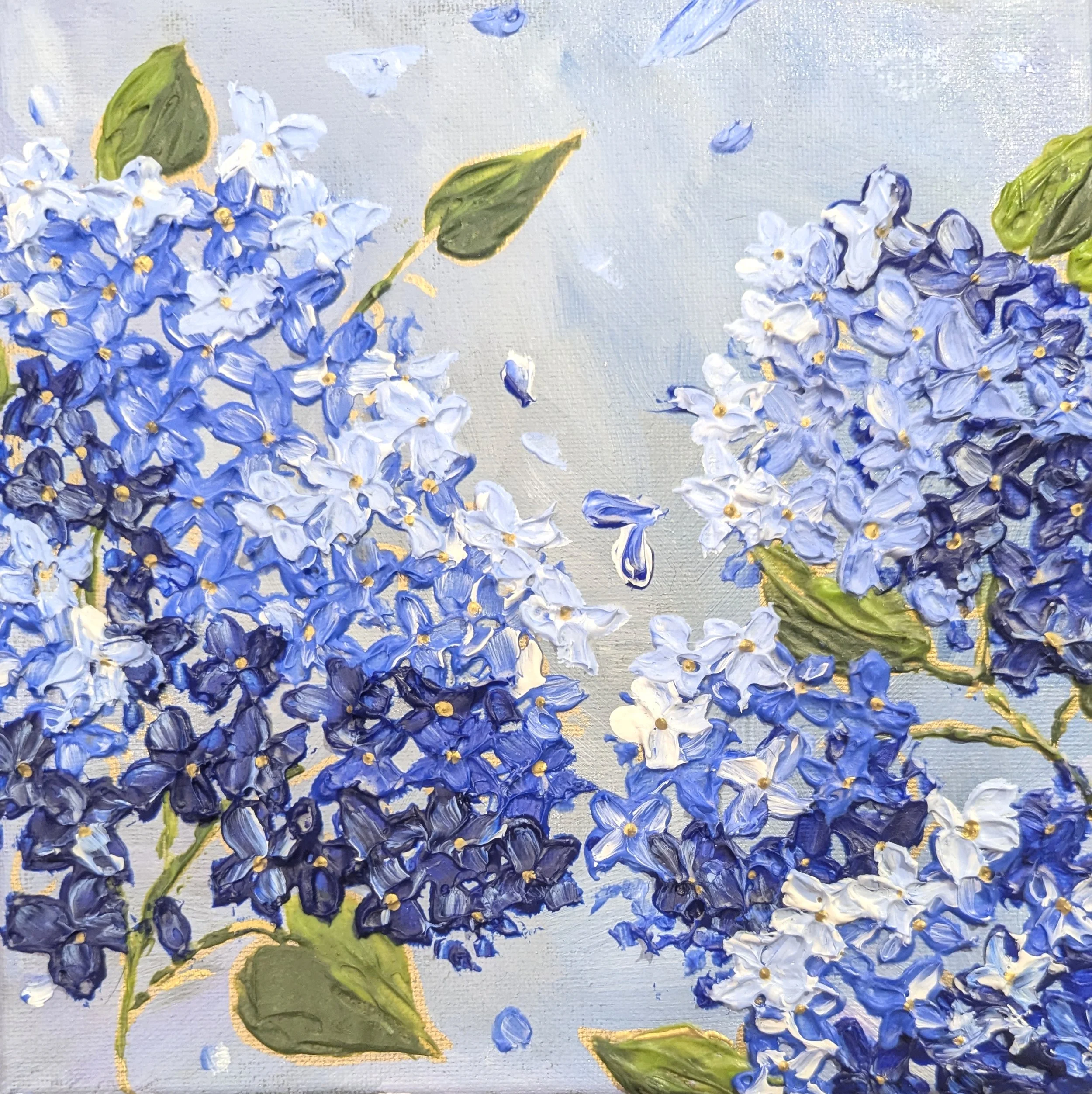 Blue Hydrangeas
