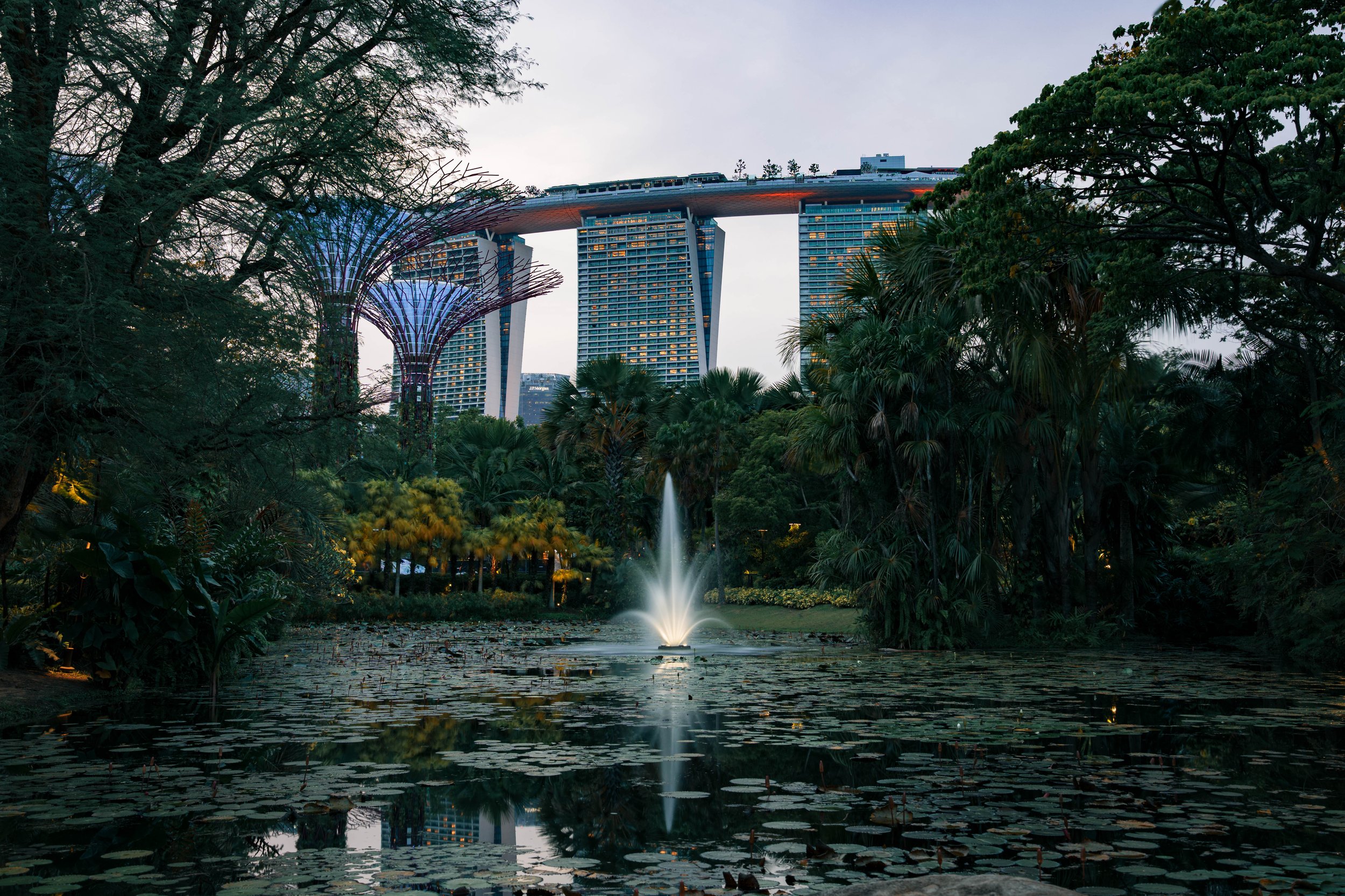 SONY ILCE-7M4 7040x4688_019904.jpg