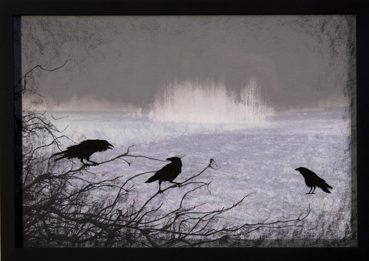 Ravens in Brambles - Dusk Series.jpg