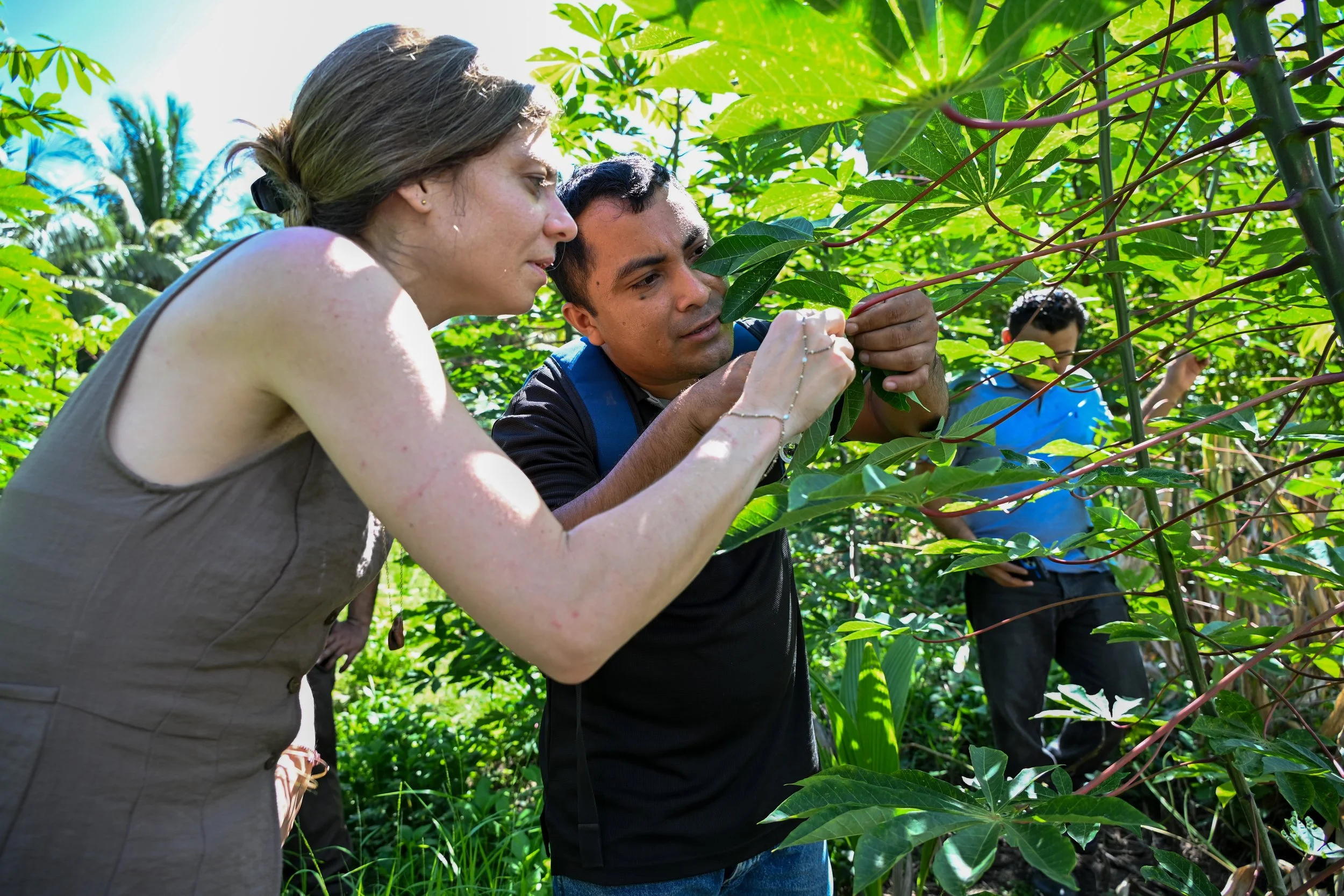 Kicking off our beneficial insect program and other updates