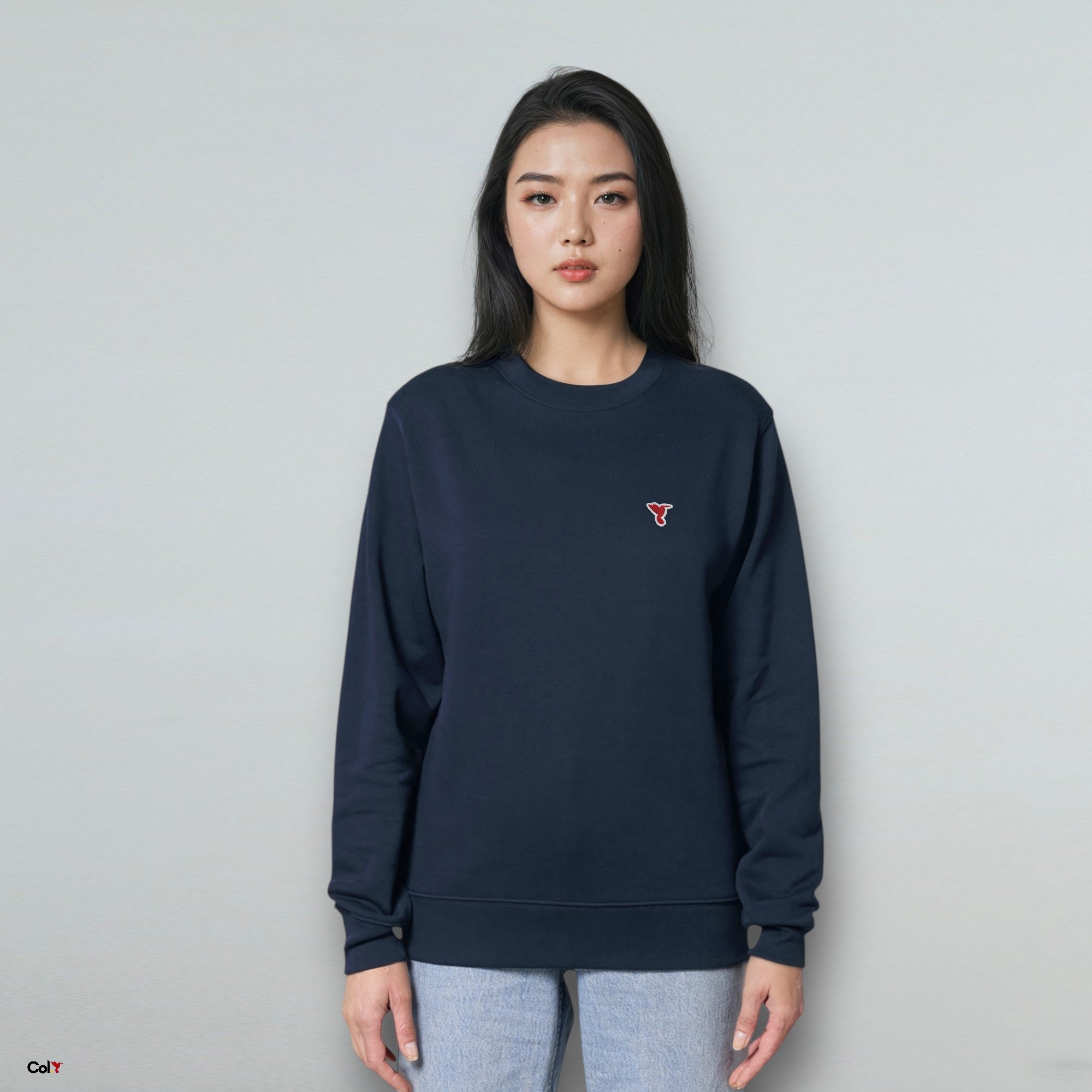 Sweat-shirt Intemporel - Col.